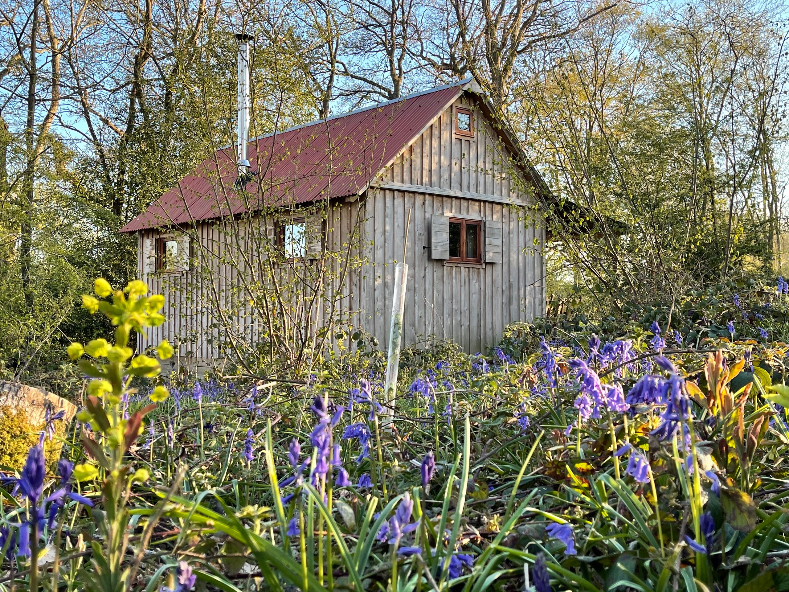 Forest Garden Cabins - Image 1