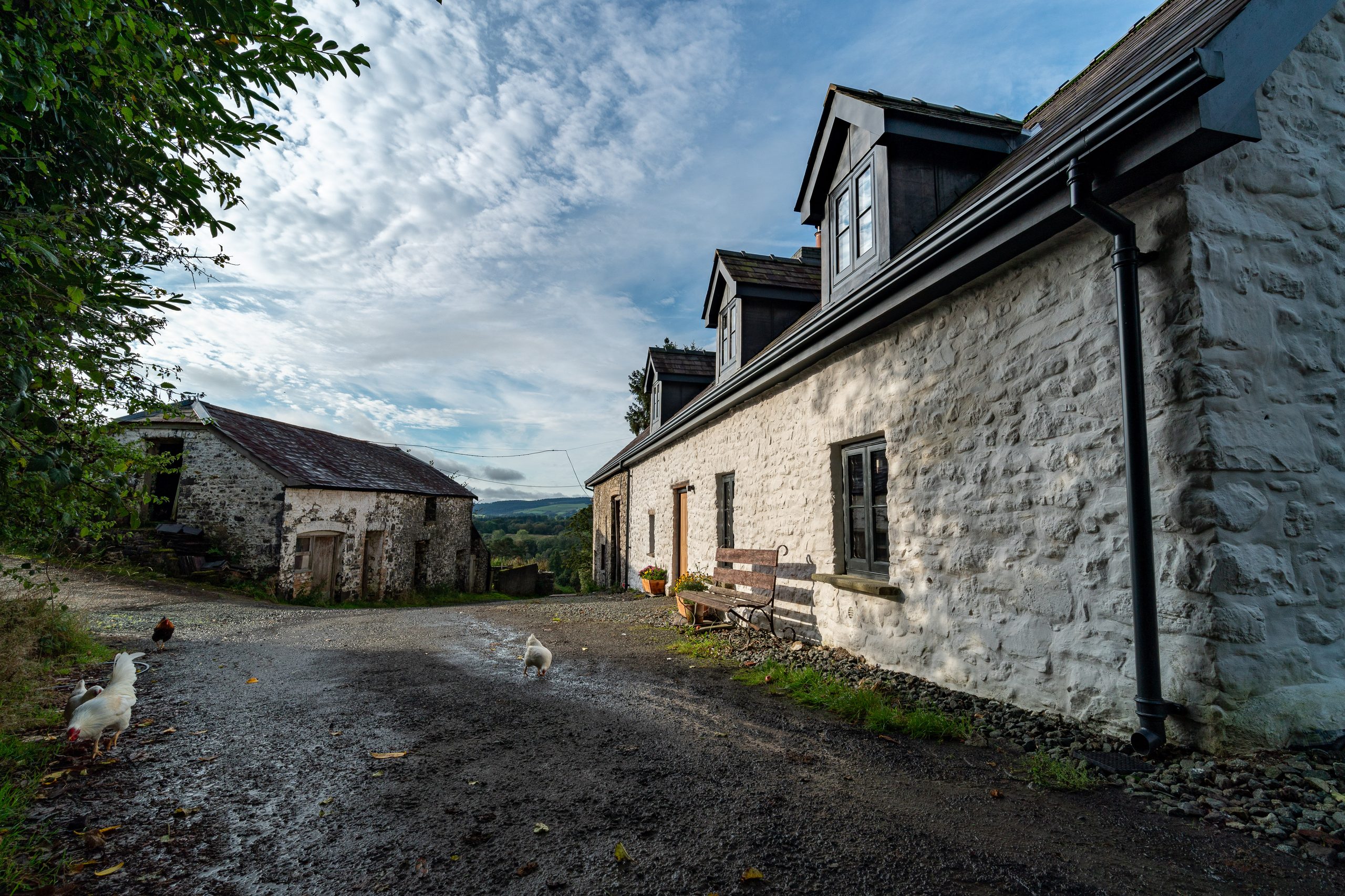 The Longhouse - Image 1