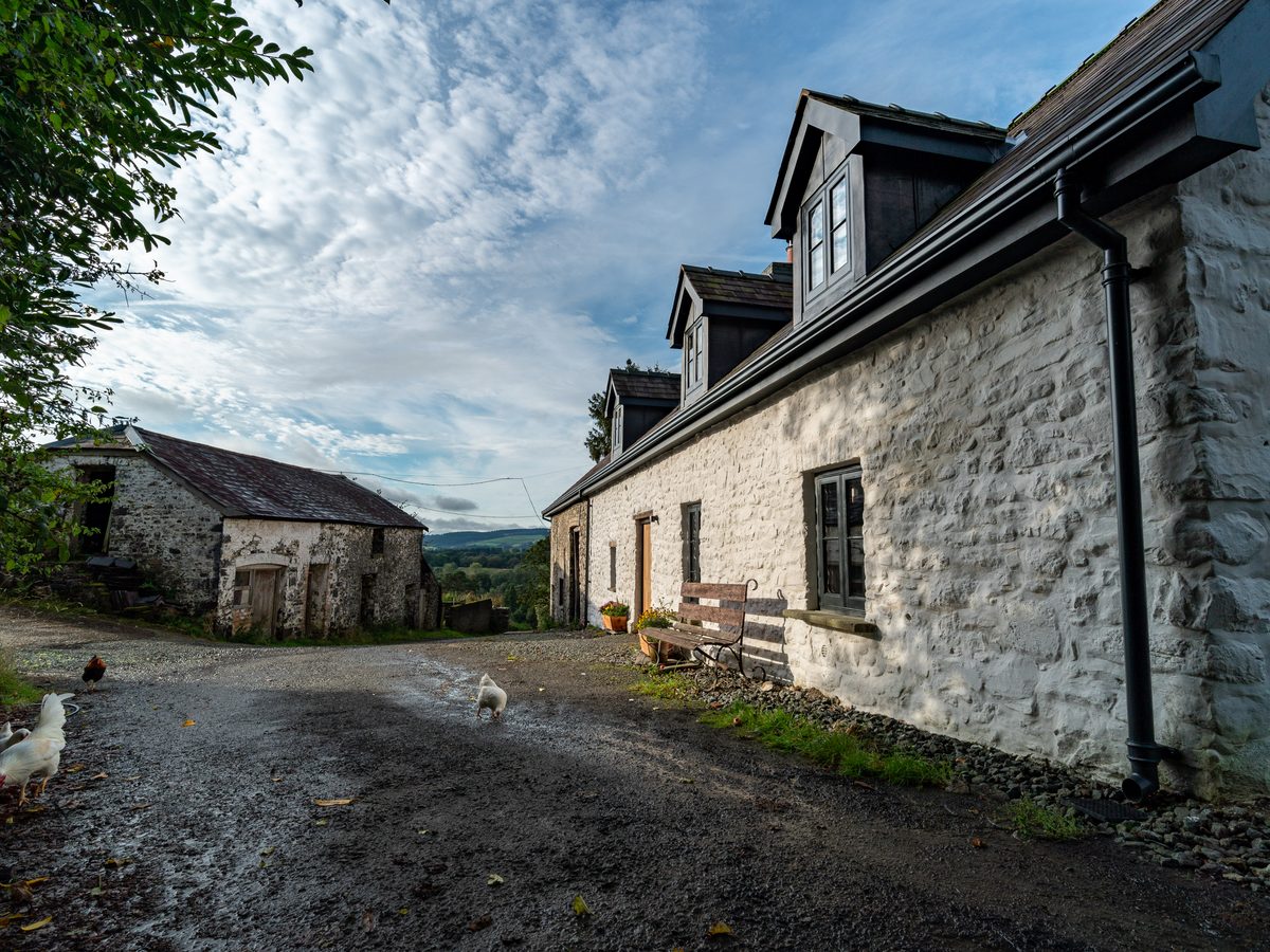The Longhouse
