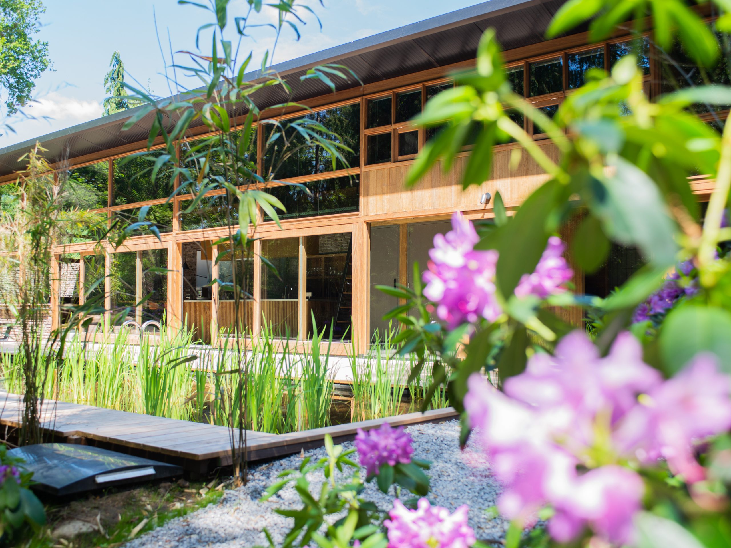 The Pool House