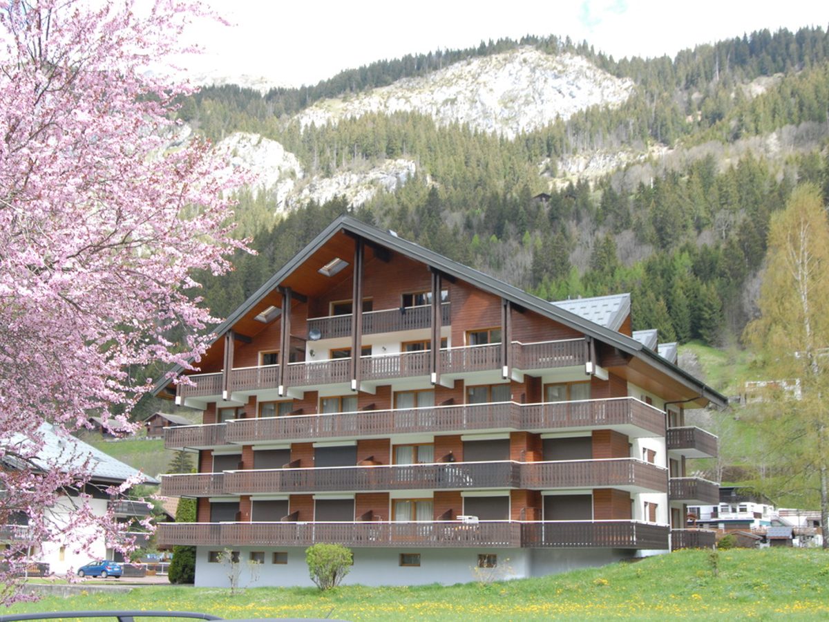 Penthouse Caribou