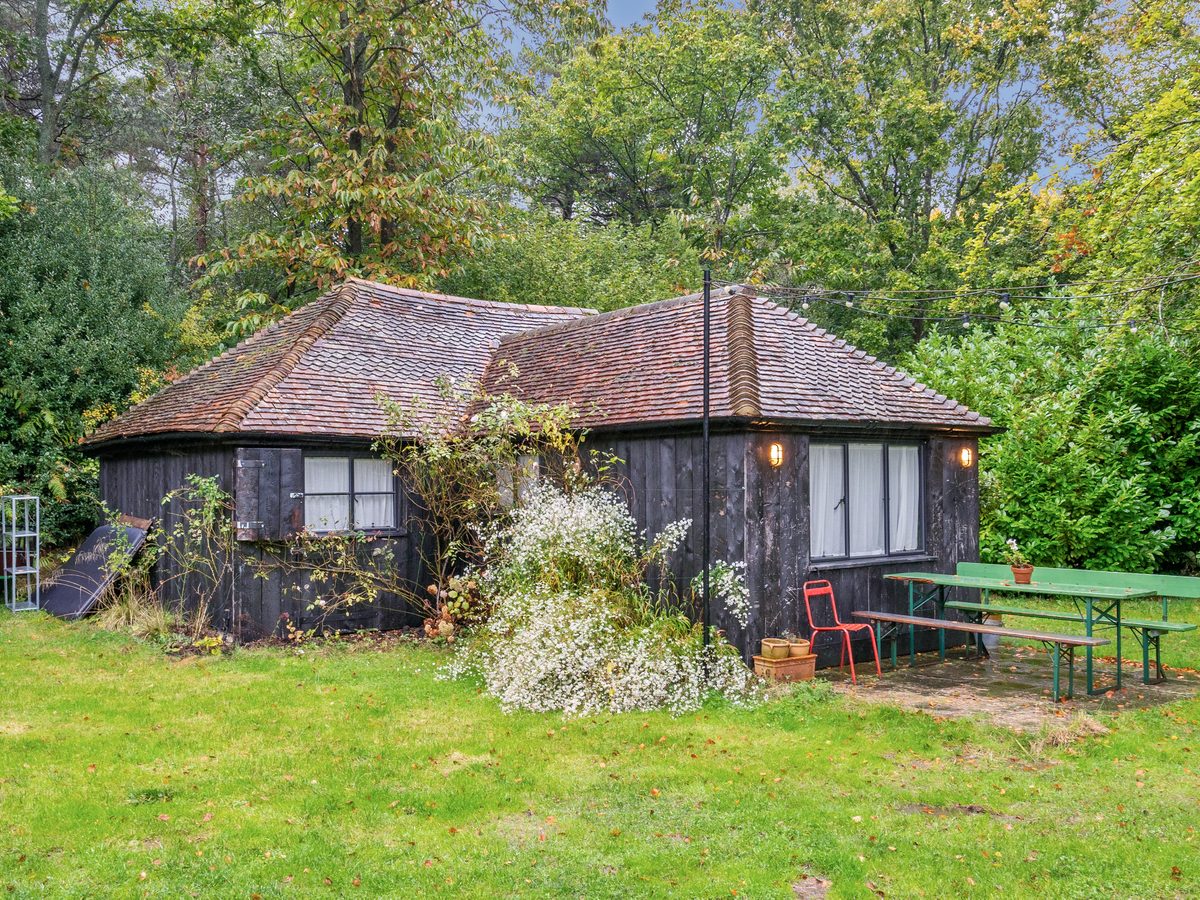 Cabin In The Woods