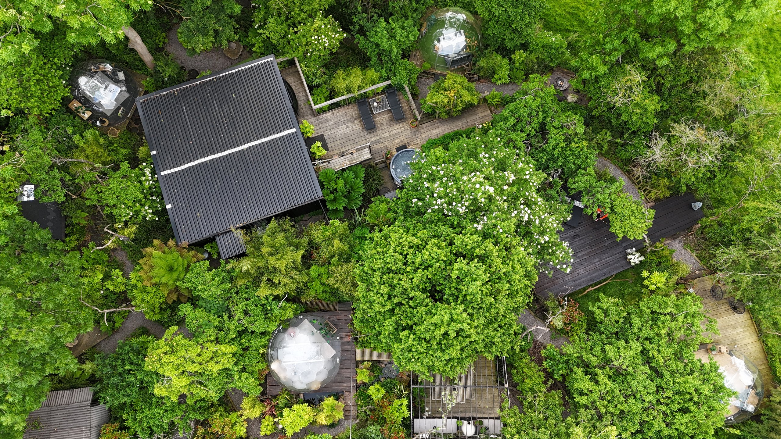 Nature's Edge Cabin