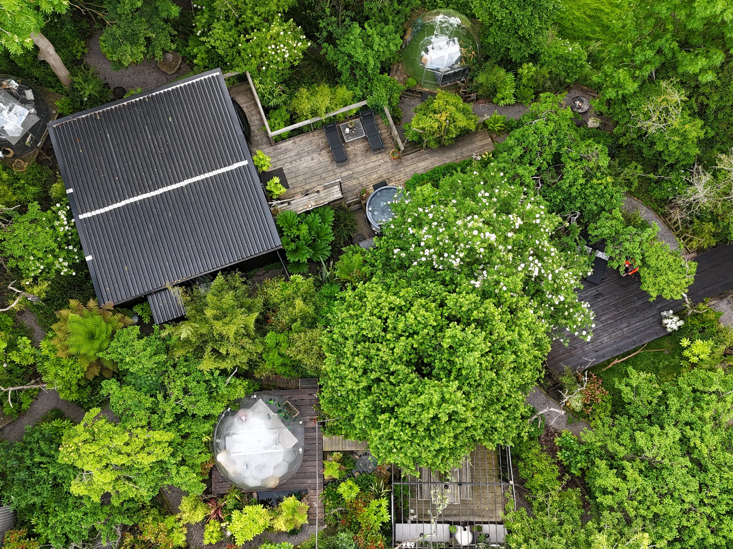 Nature's Edge Cabin