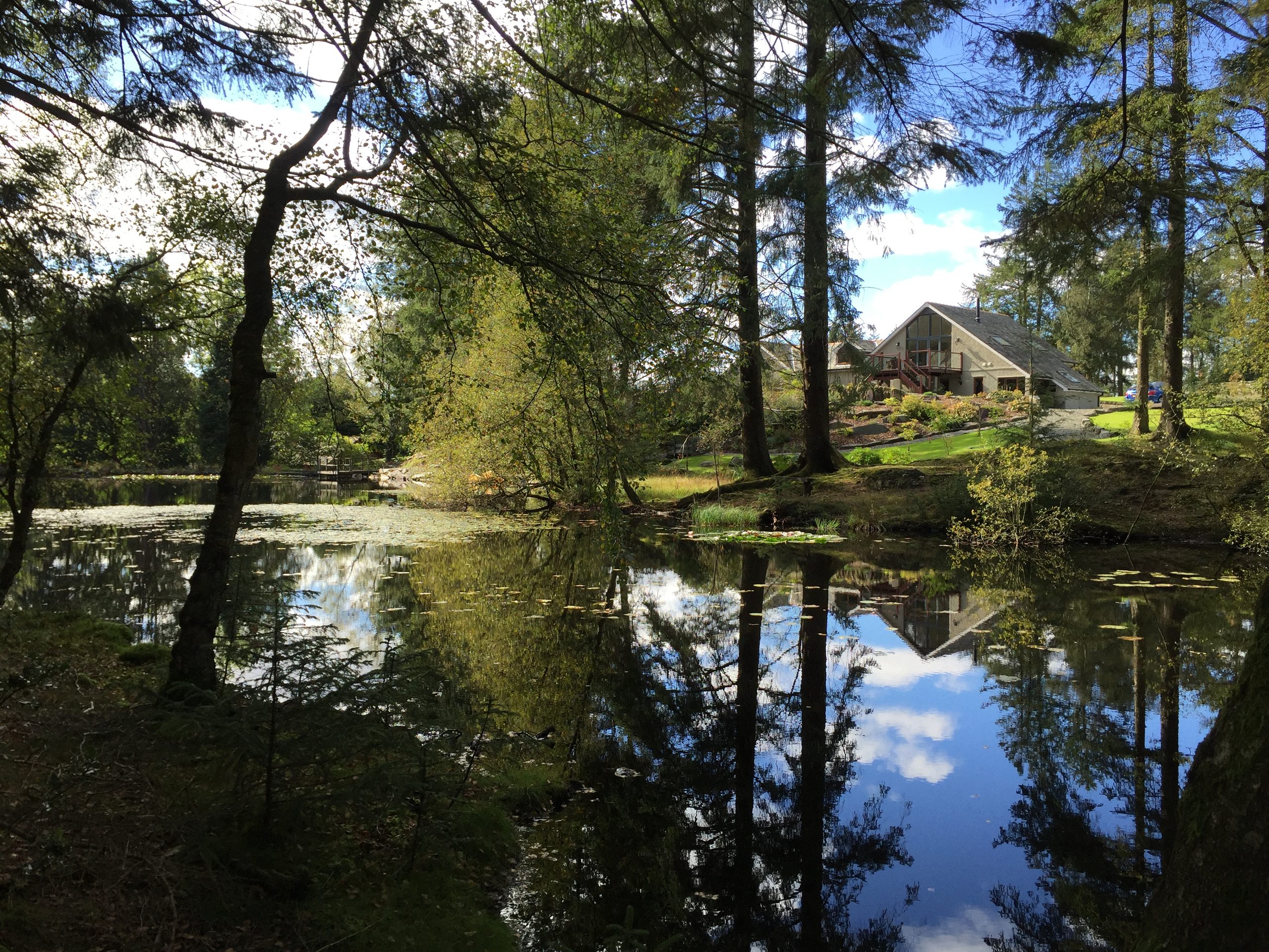 Forest Lodge