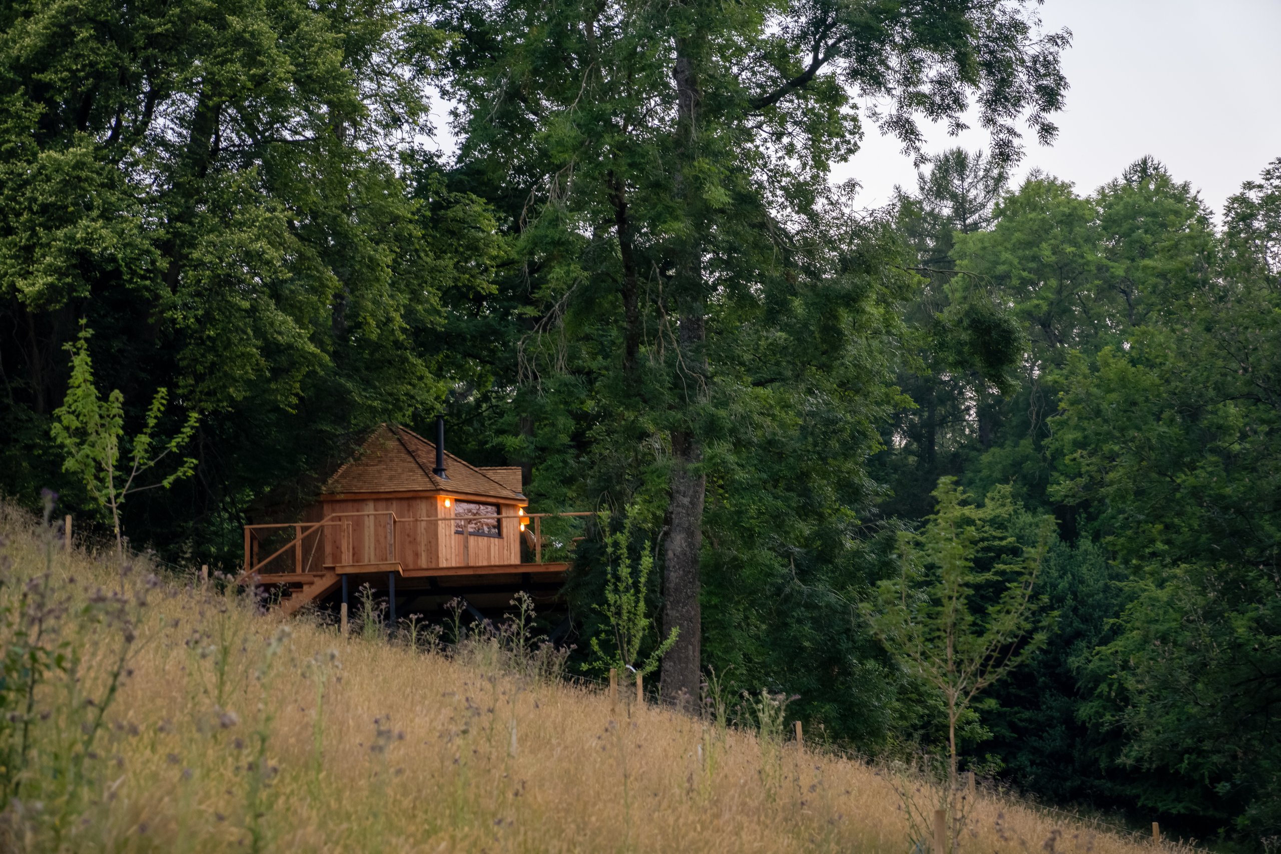 The Treehouse