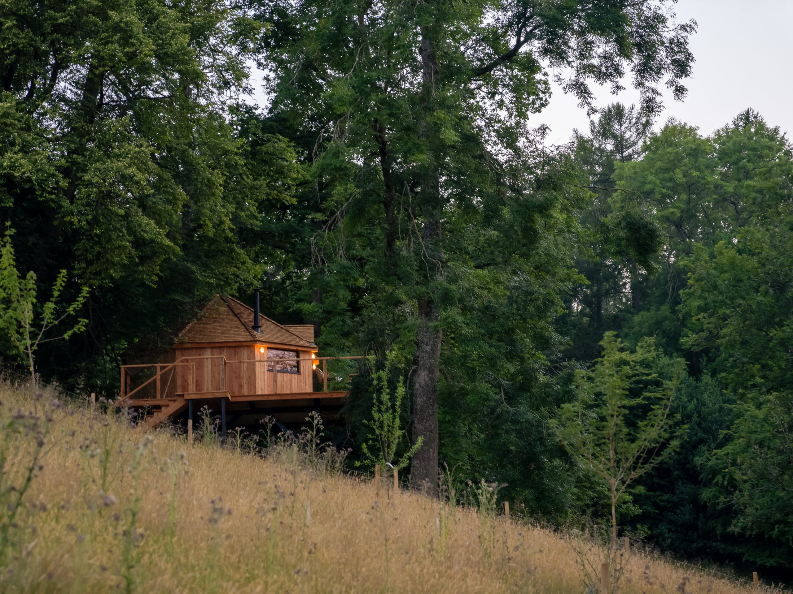 The Treehouse