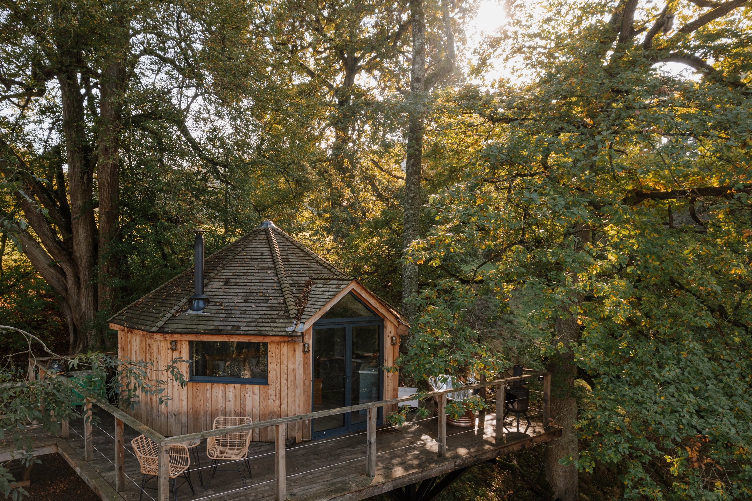 The Treehouse - Image 1