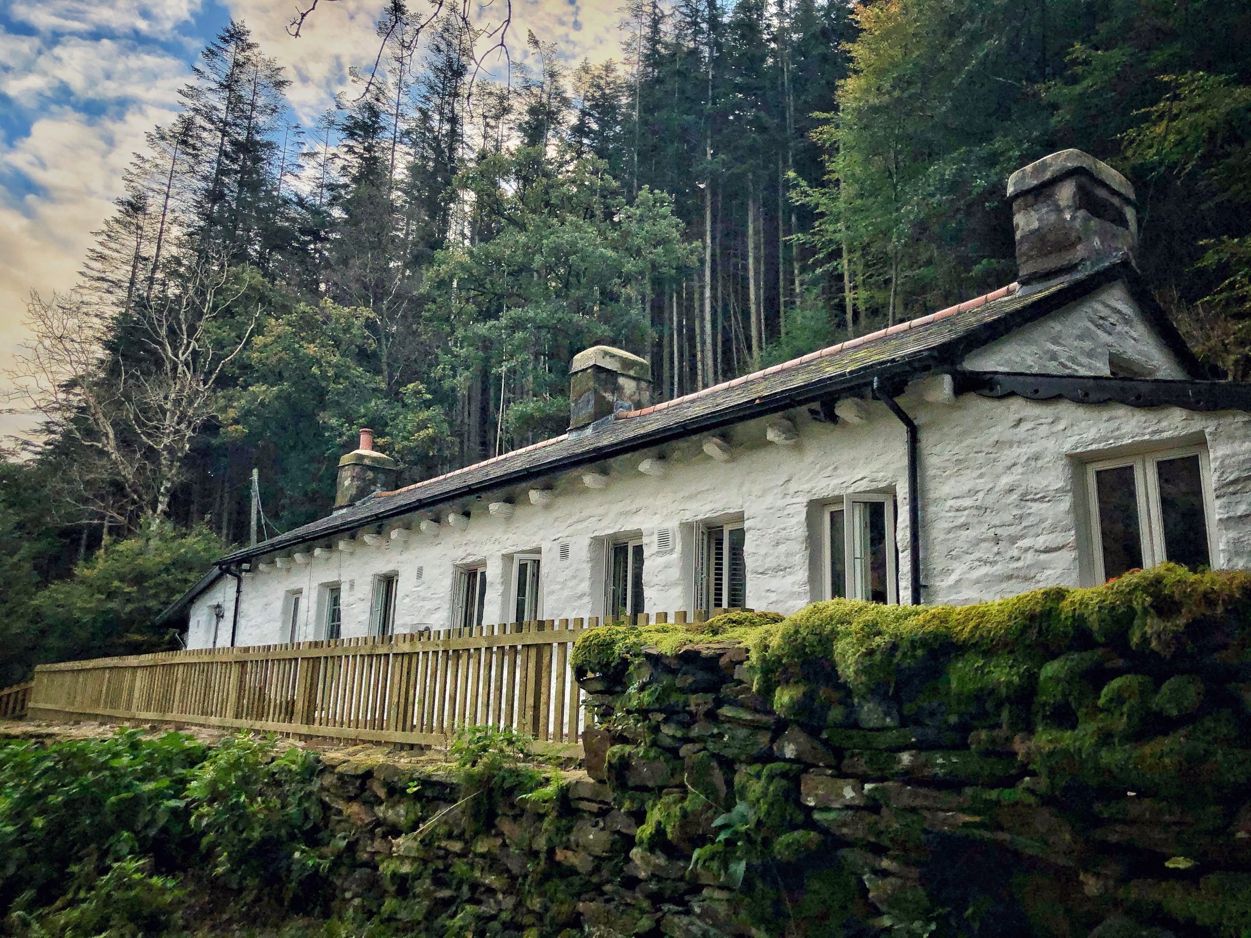 Celyn Snowdonia - Image 1