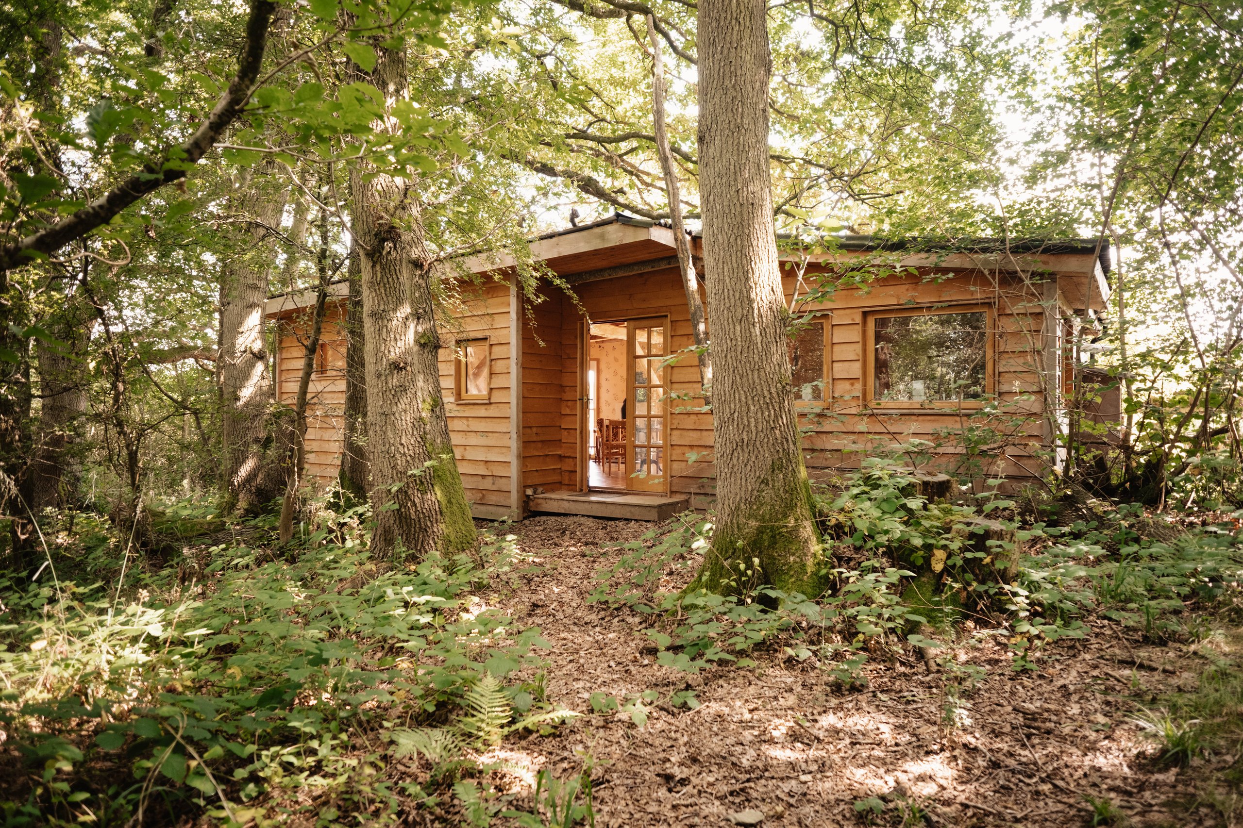 Brook House Woods