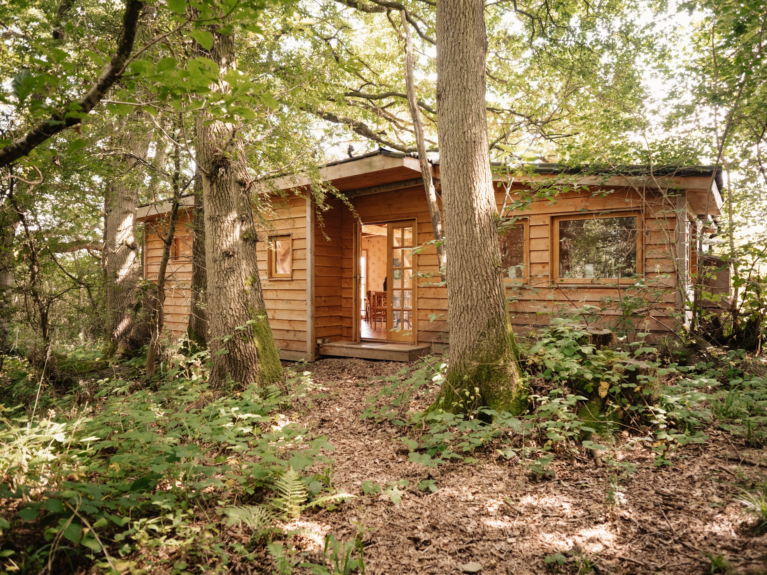 Brook House Woods