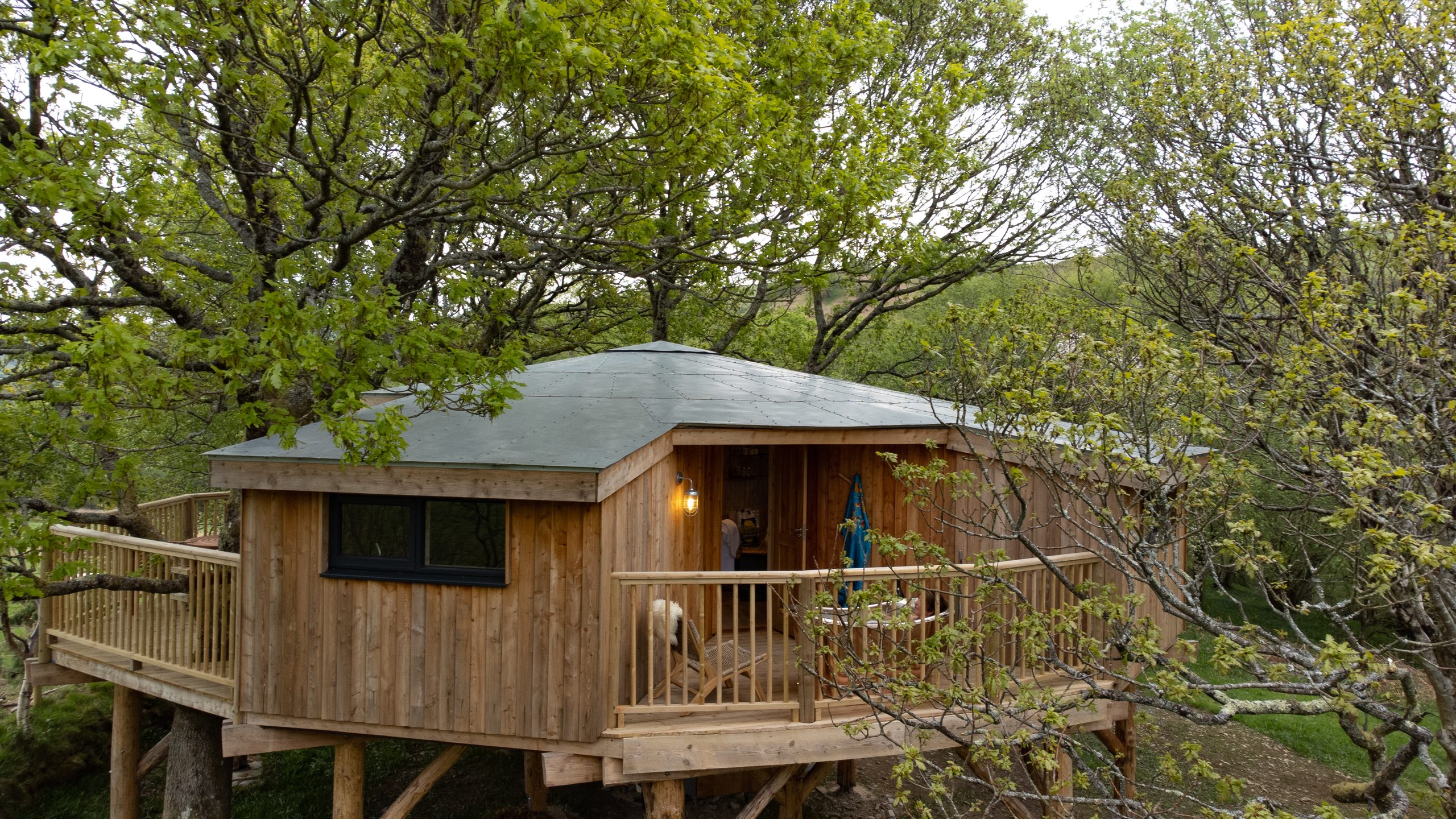 Tyr Derw Treehouse - Image 1