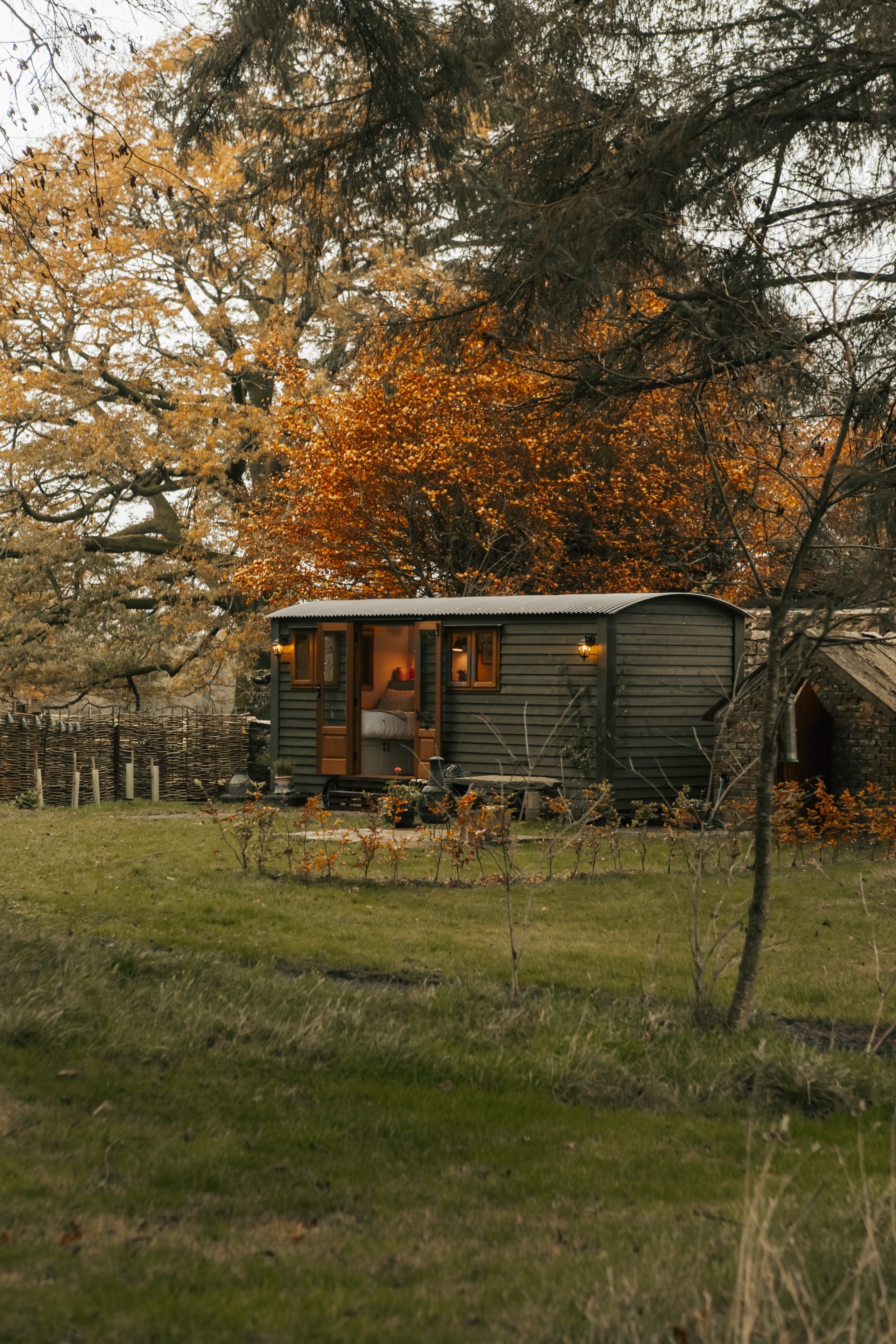 The Ewe at Snittlegarth - Image 1