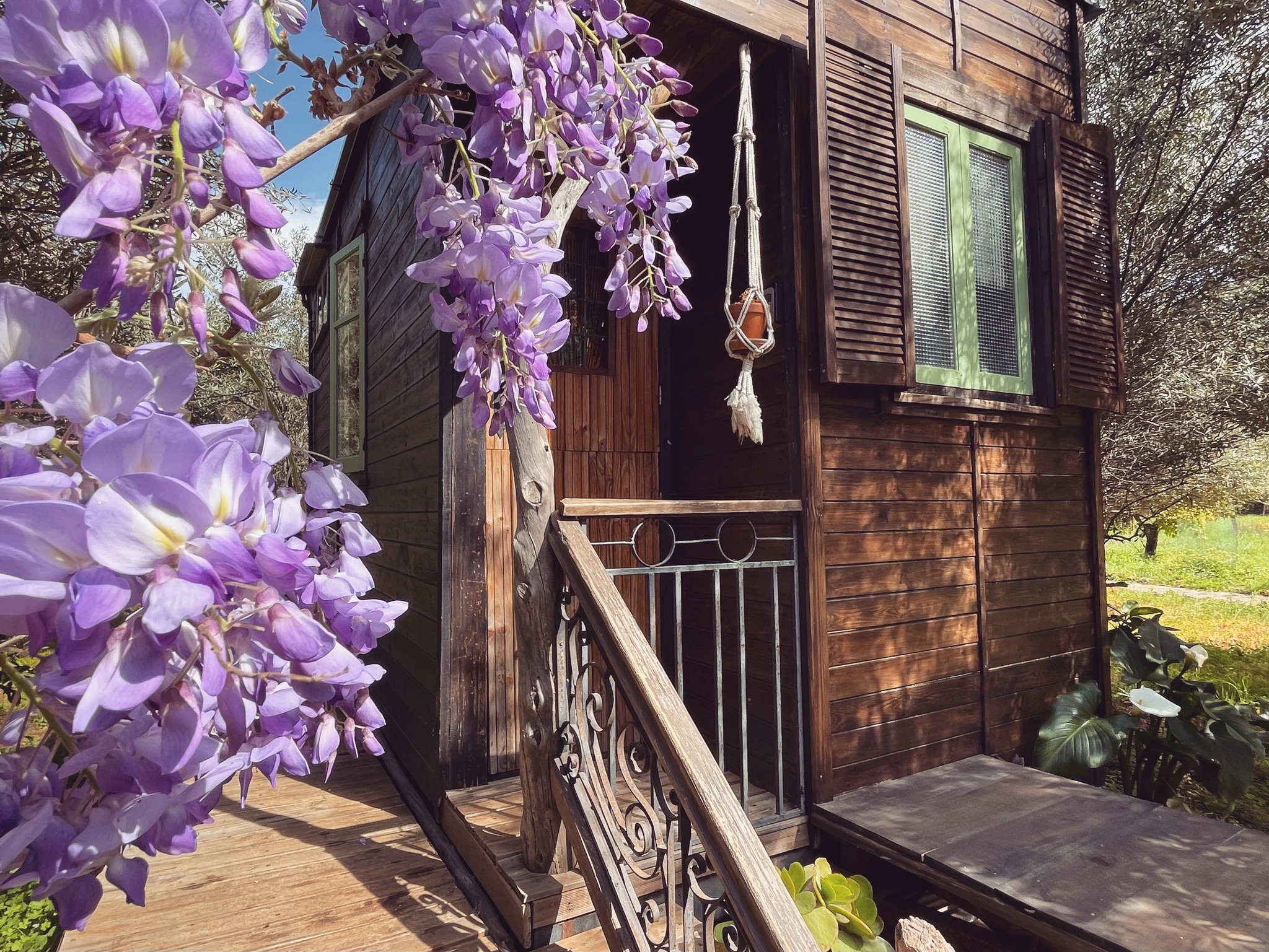 The Little Wooden House