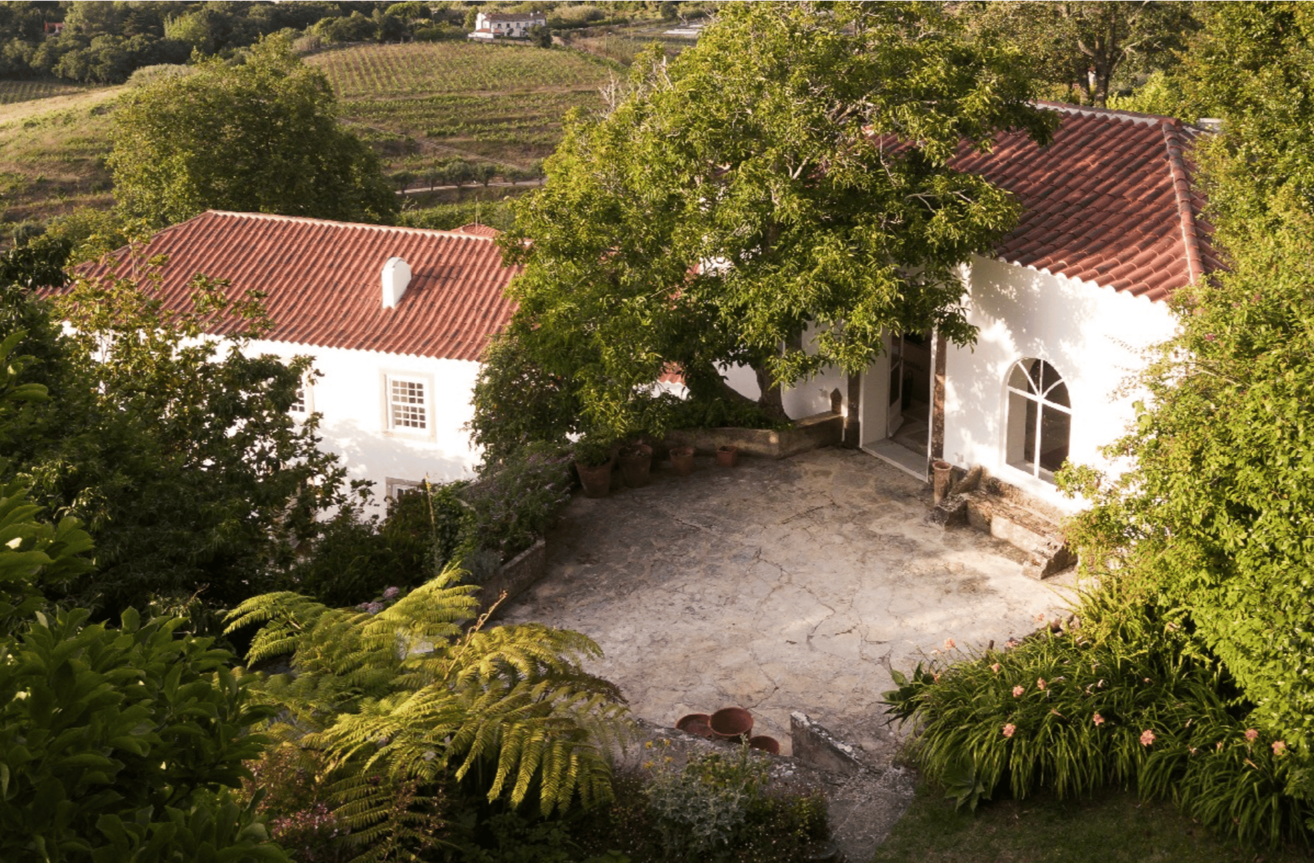 Quinta do Griffo - Image 1