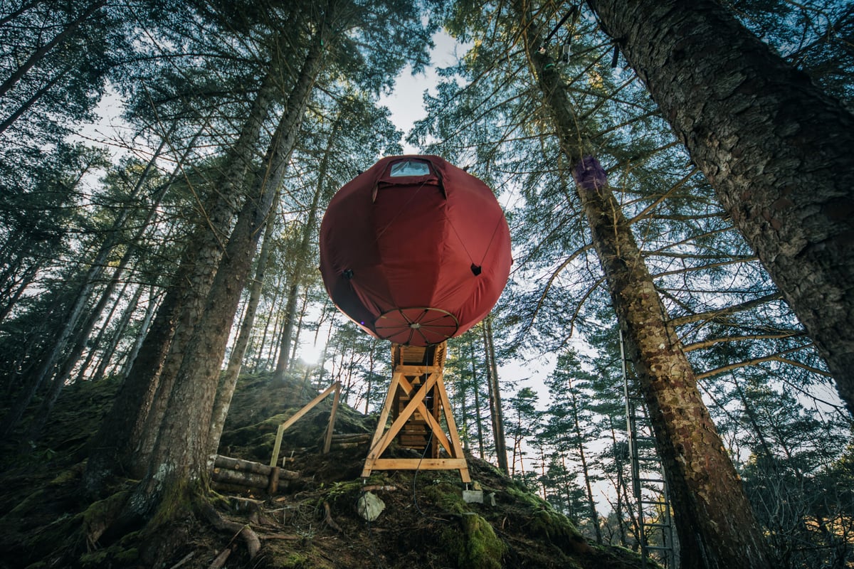 Highland Hangout - The Tree Tent