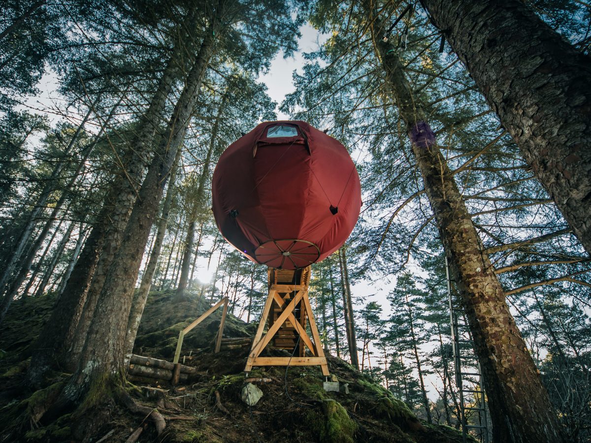 Highland Hangout - The Tree Tent