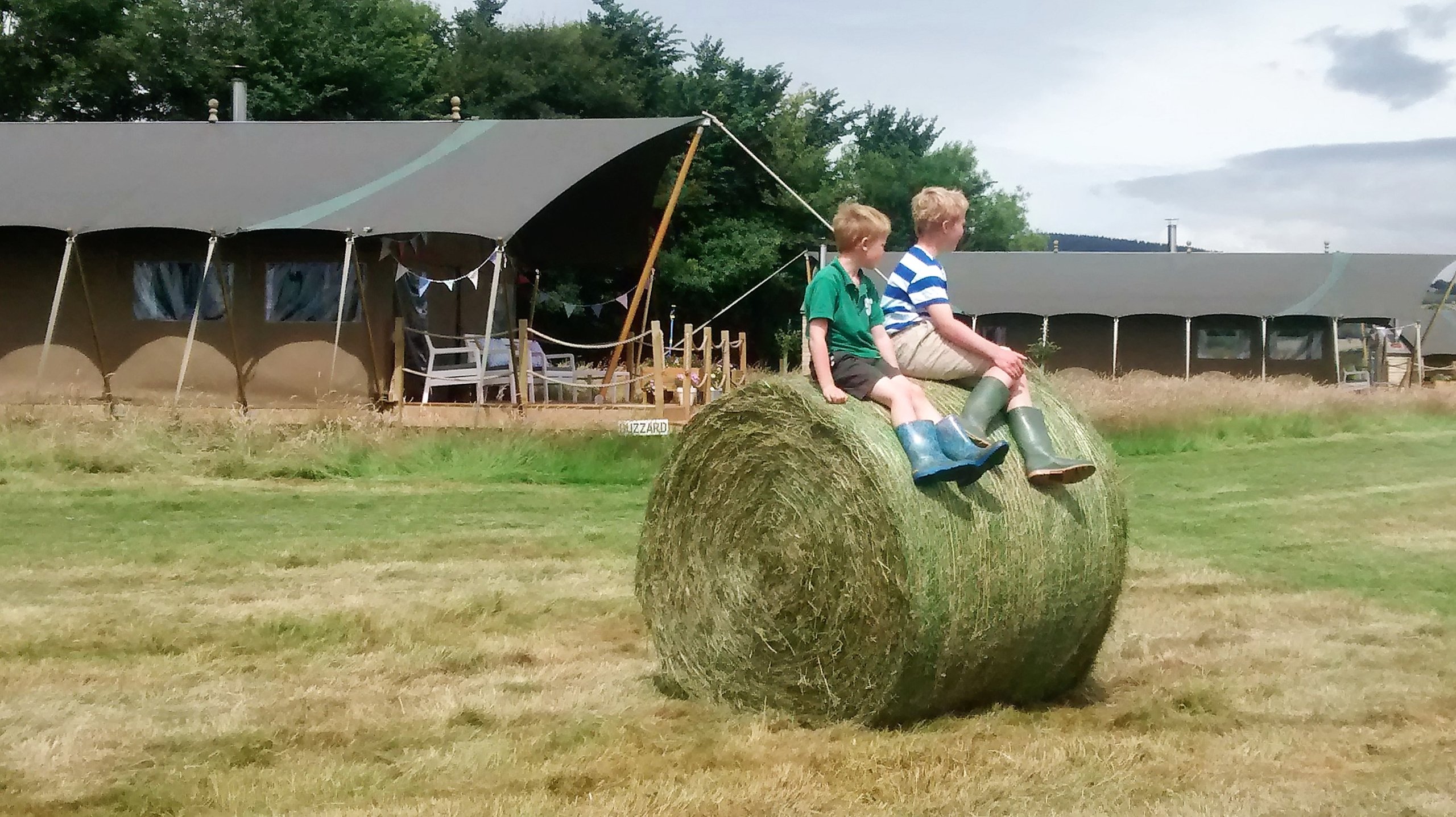 Middle Stone Farm