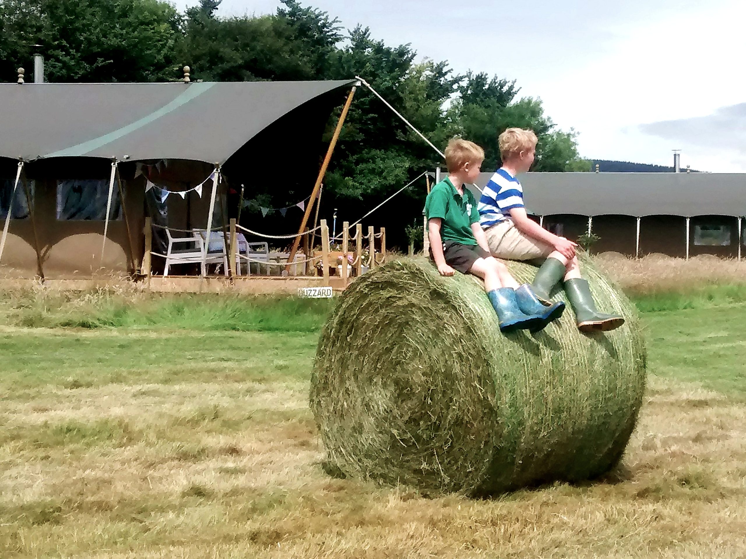 Middle Stone Farm