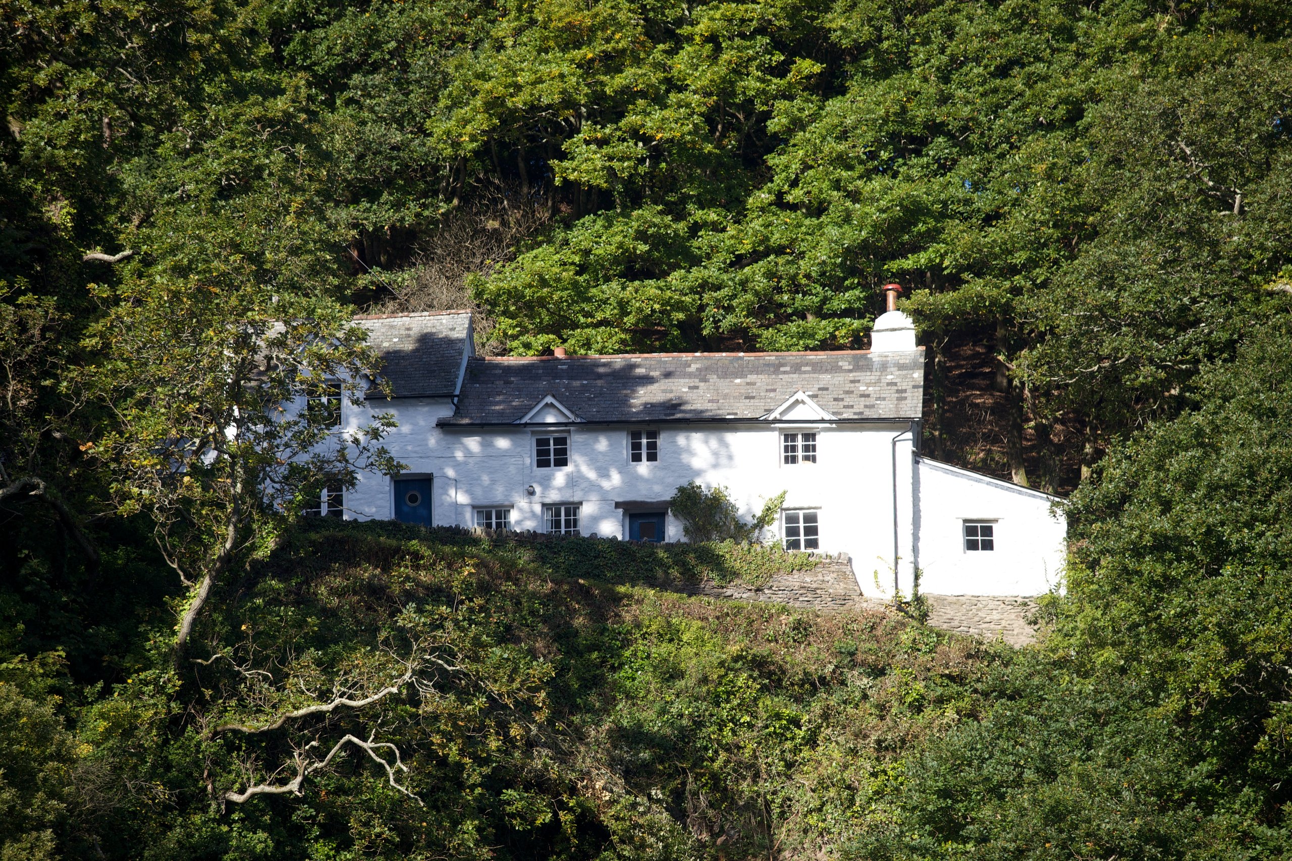 Woody Bay