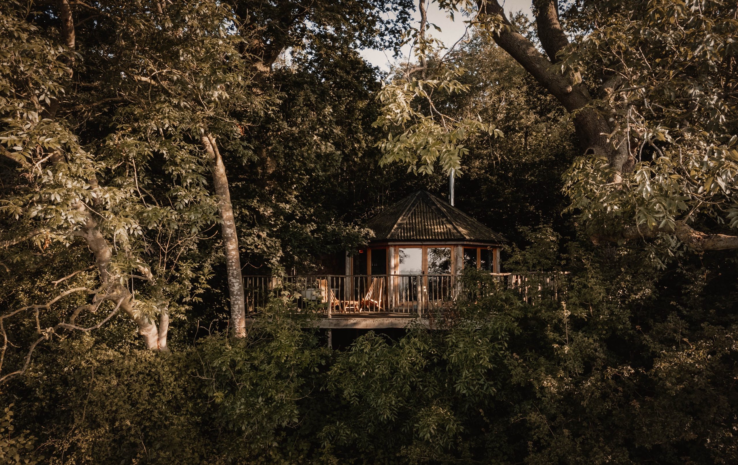 Brook House Woods - Image 1