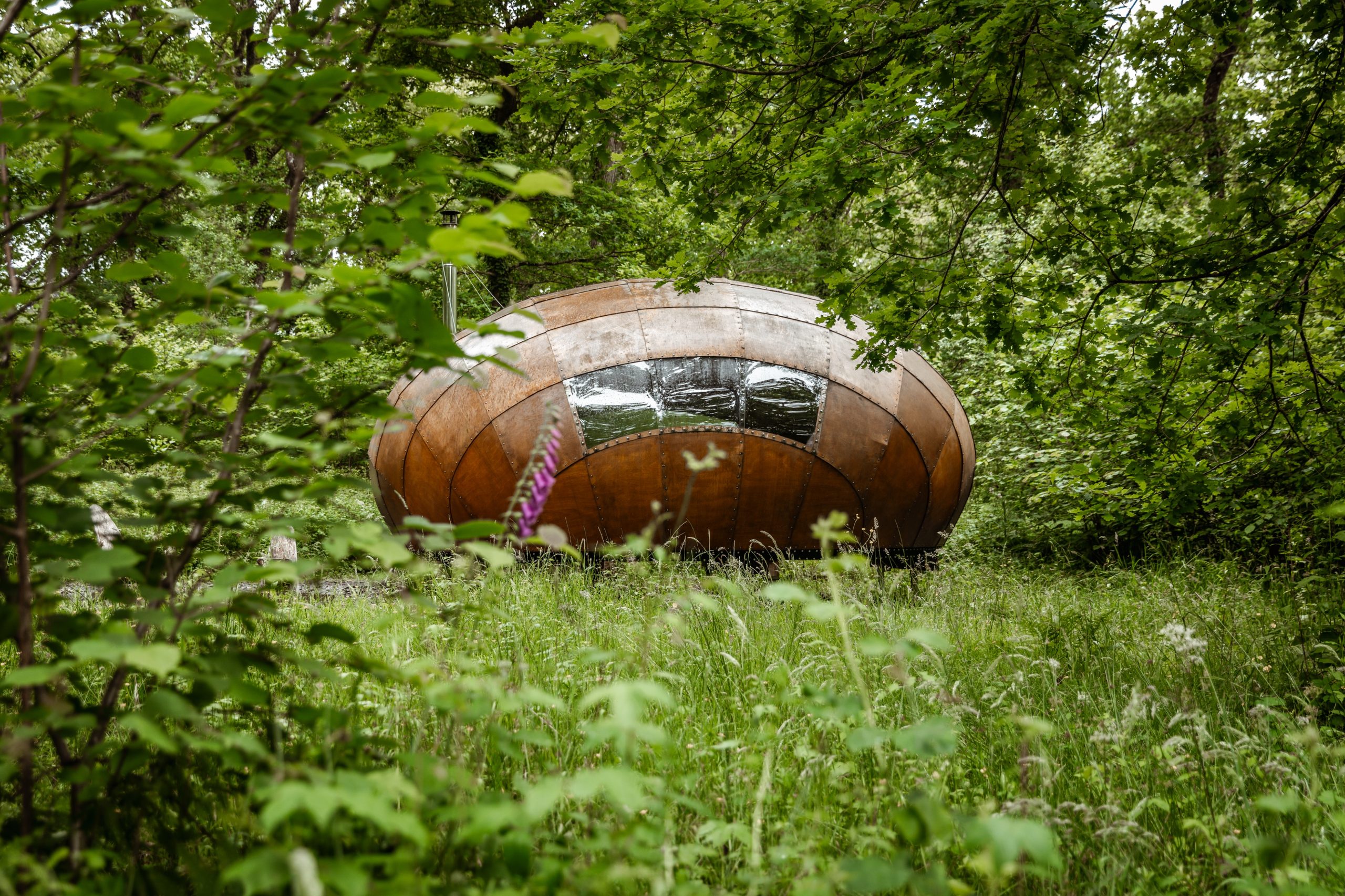 Honeydown - Image 1
