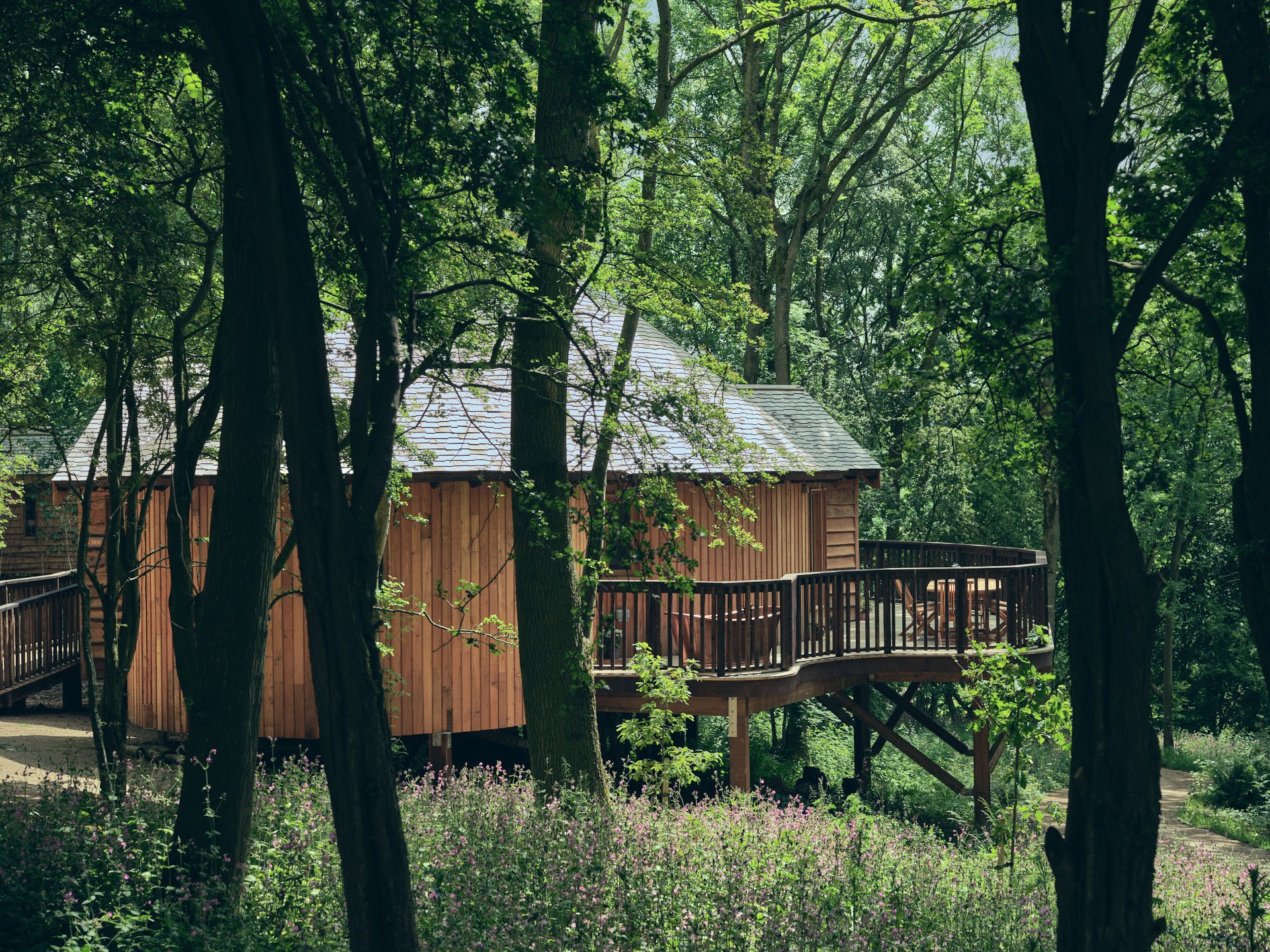 Wildhive at Callow Hall - Image 1