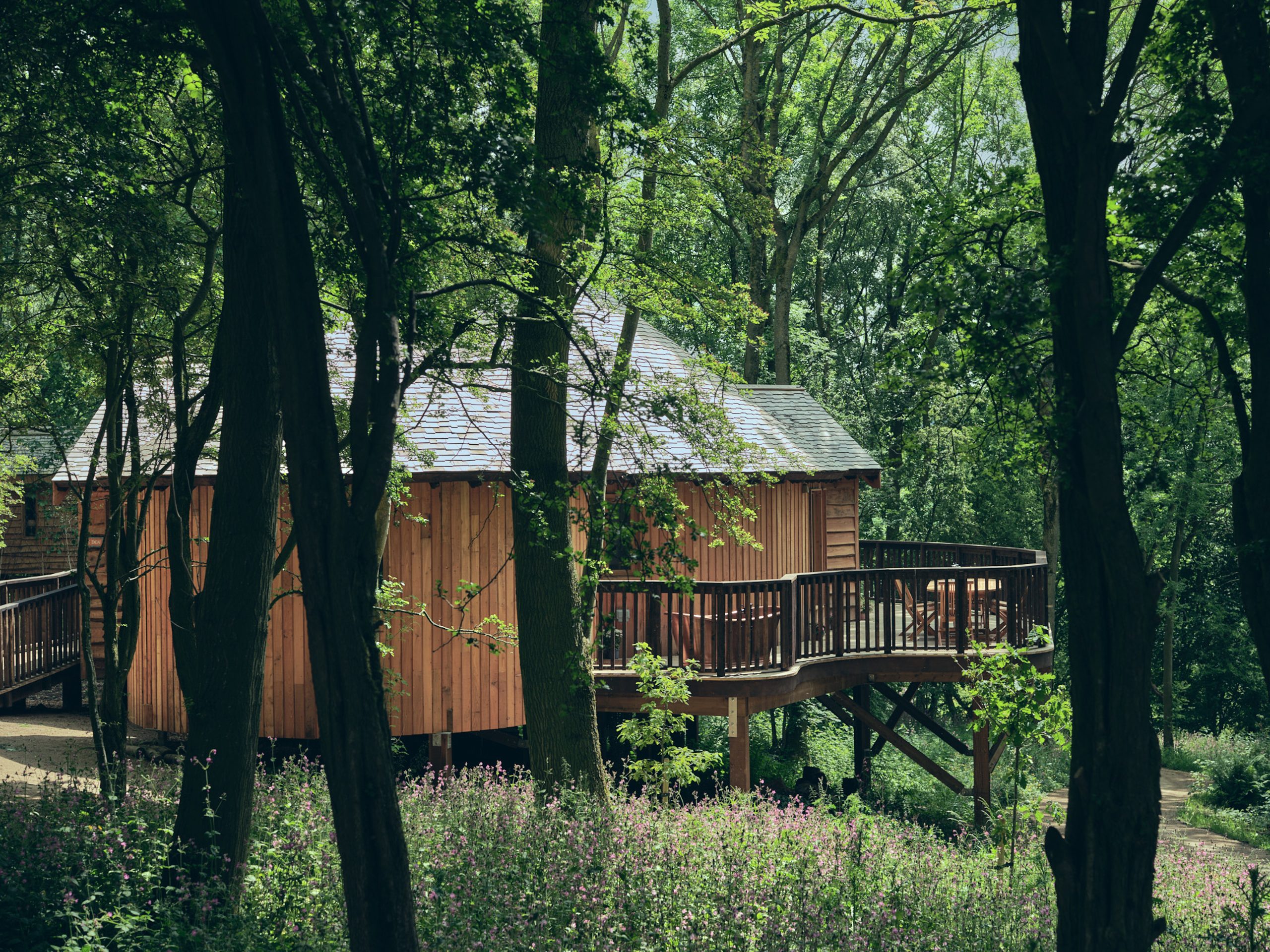 Wildhive at Callow Hall - Image 1