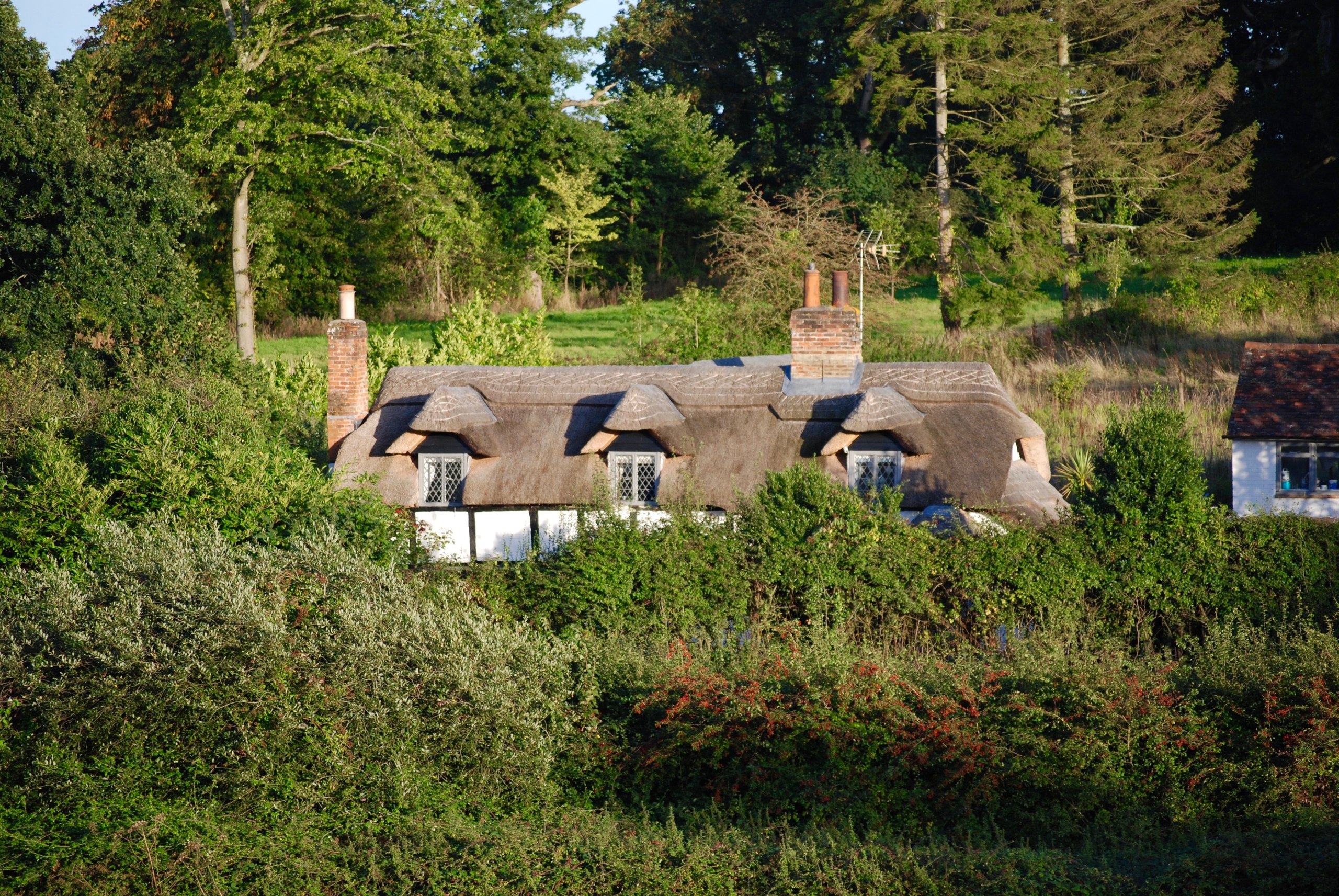 Chestnut Cottage - New Forest