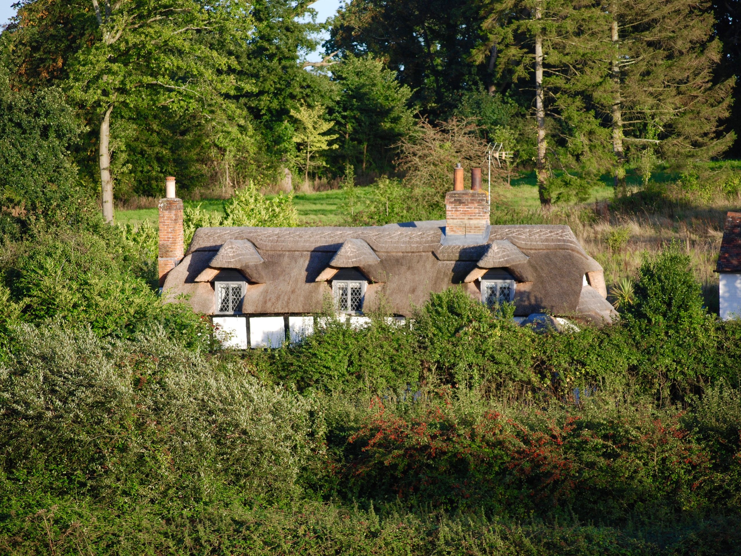 Chestnut Cottage - New Forest