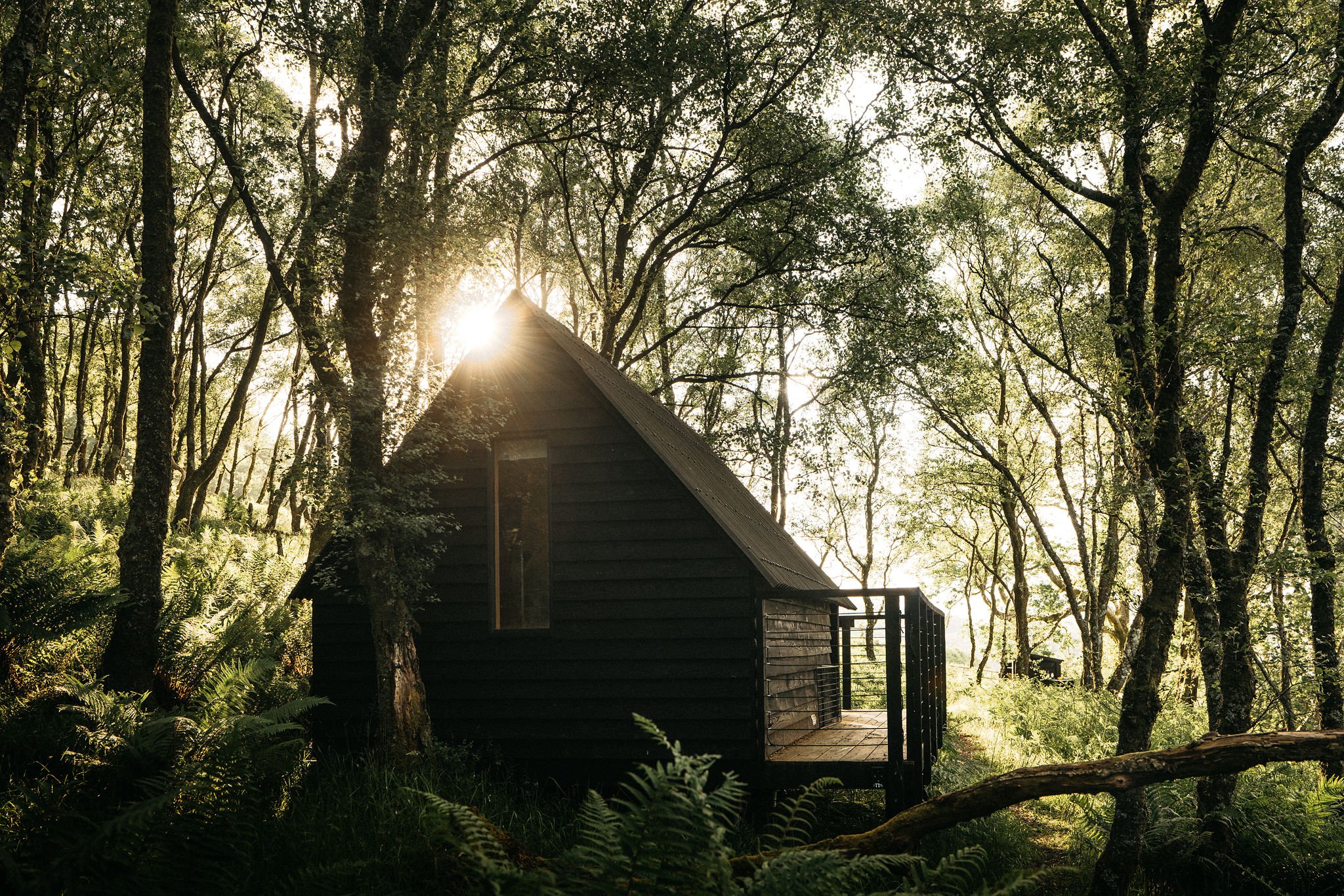 The Charcoal Huts - Image 1
