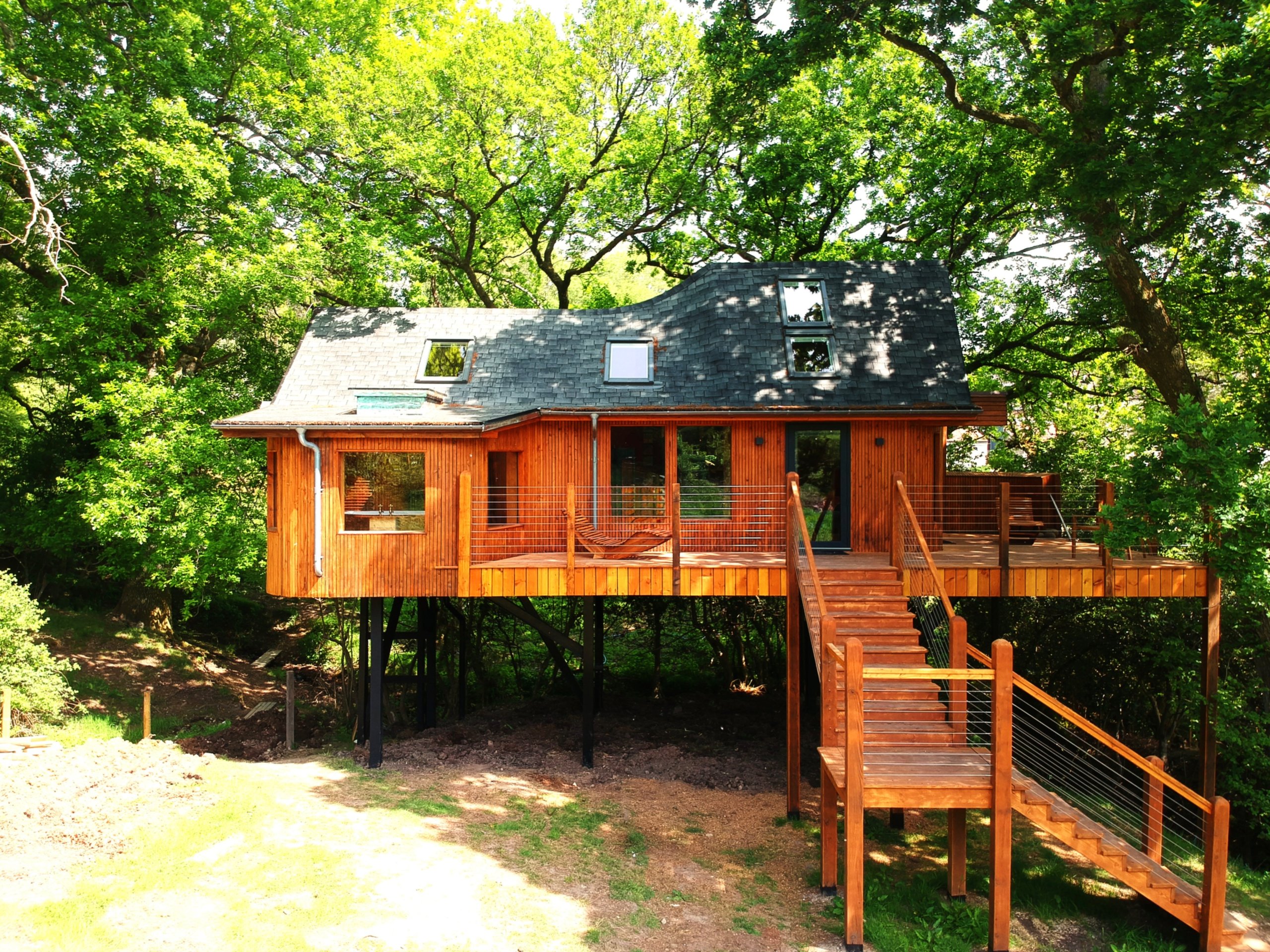 Coast & Canopy Treehouse at Hogchester Farm - Image 1