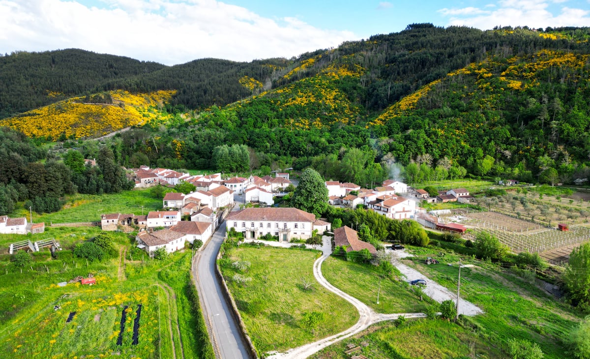 Terra Verde