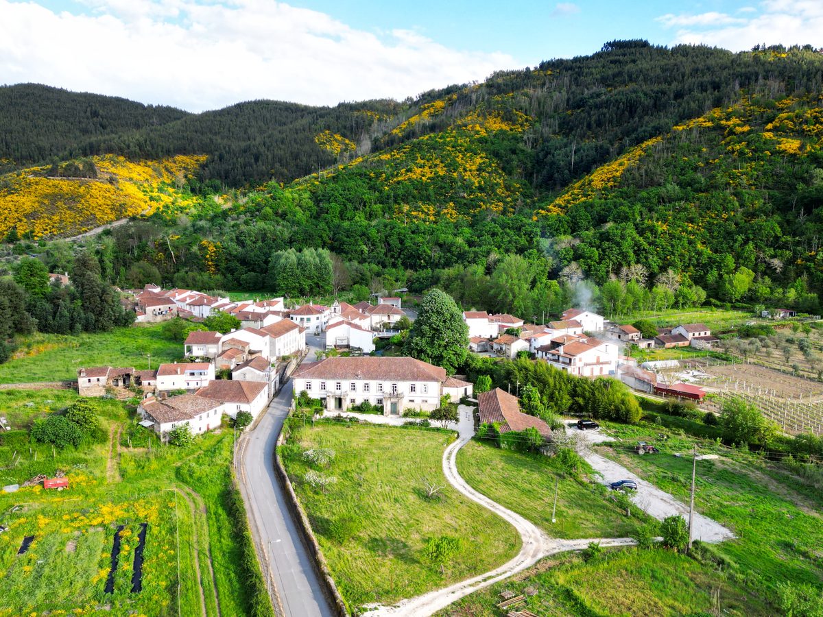 Terra Verde