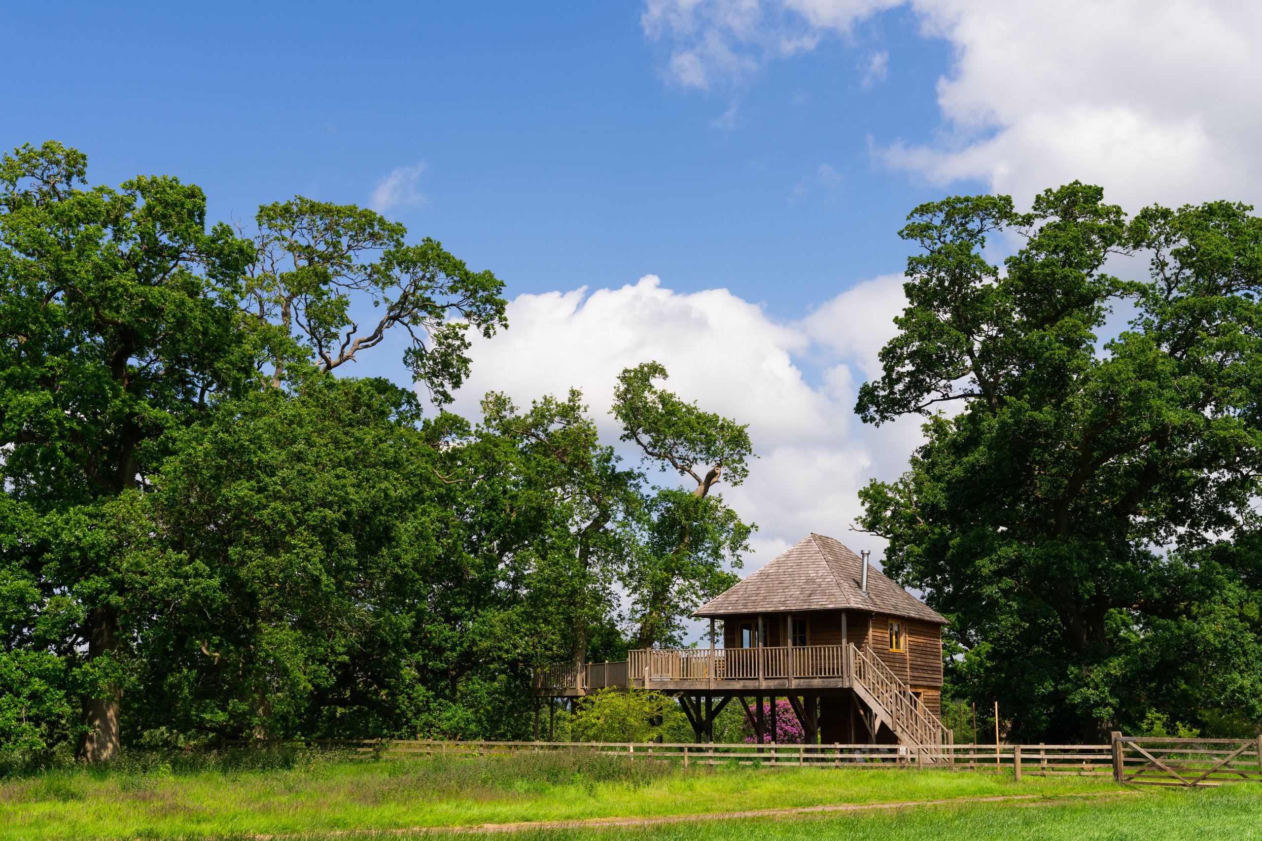 Netherby Treehouse - Image 1