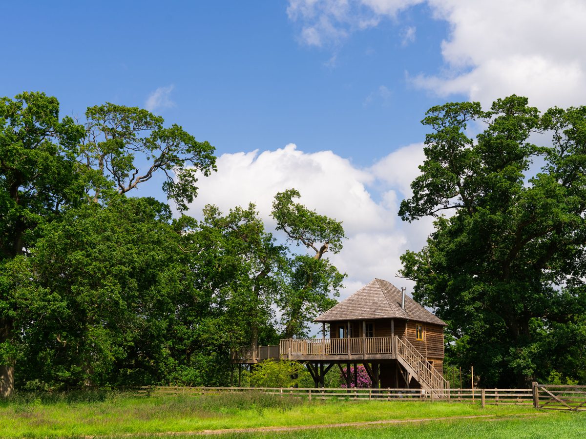 Netherby Treehouse