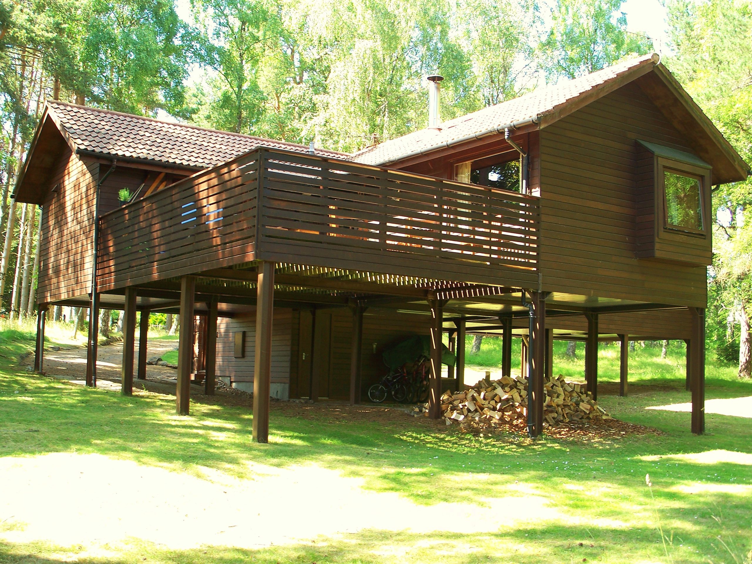 The Treehouse