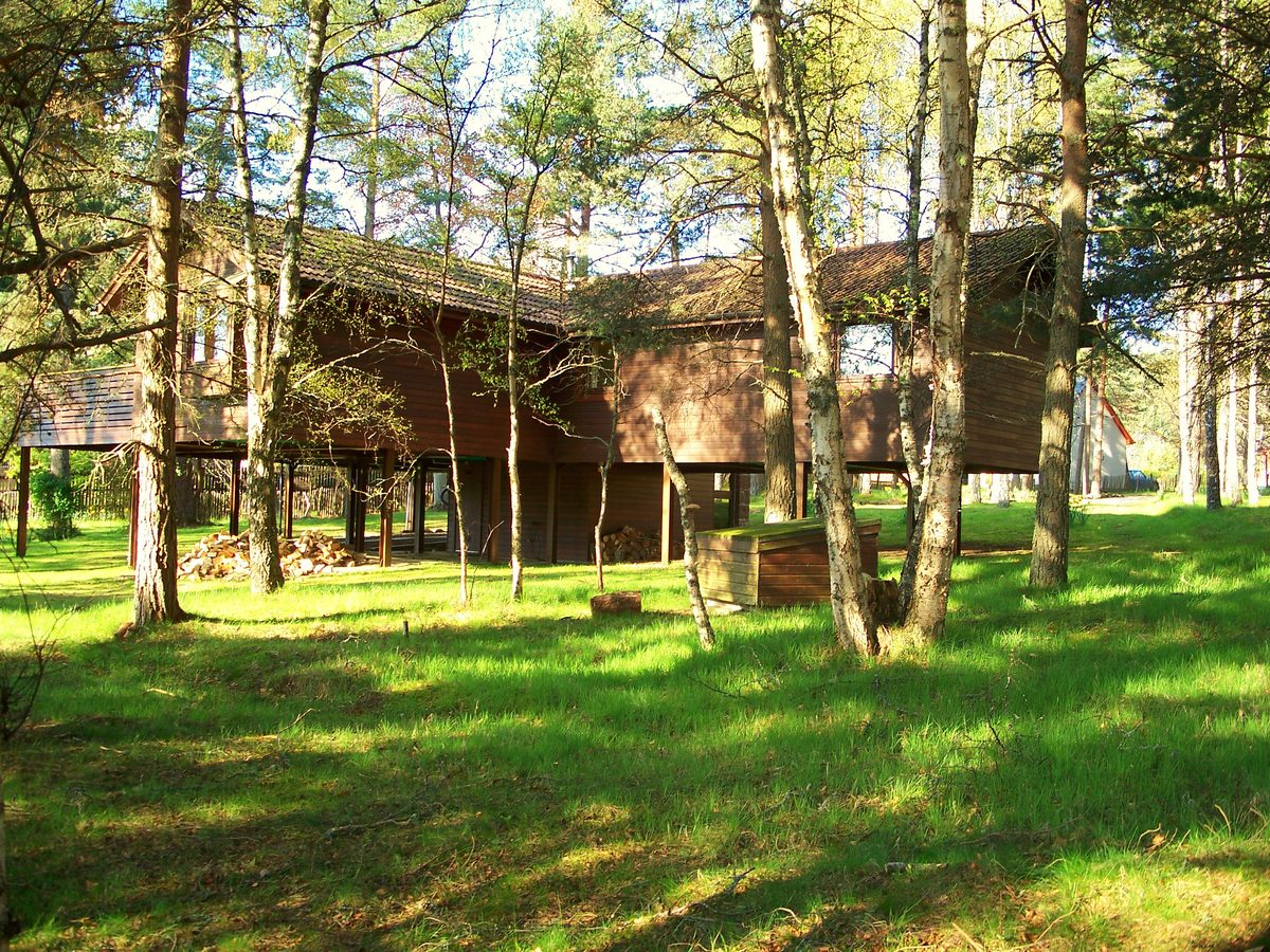 The Treehouse