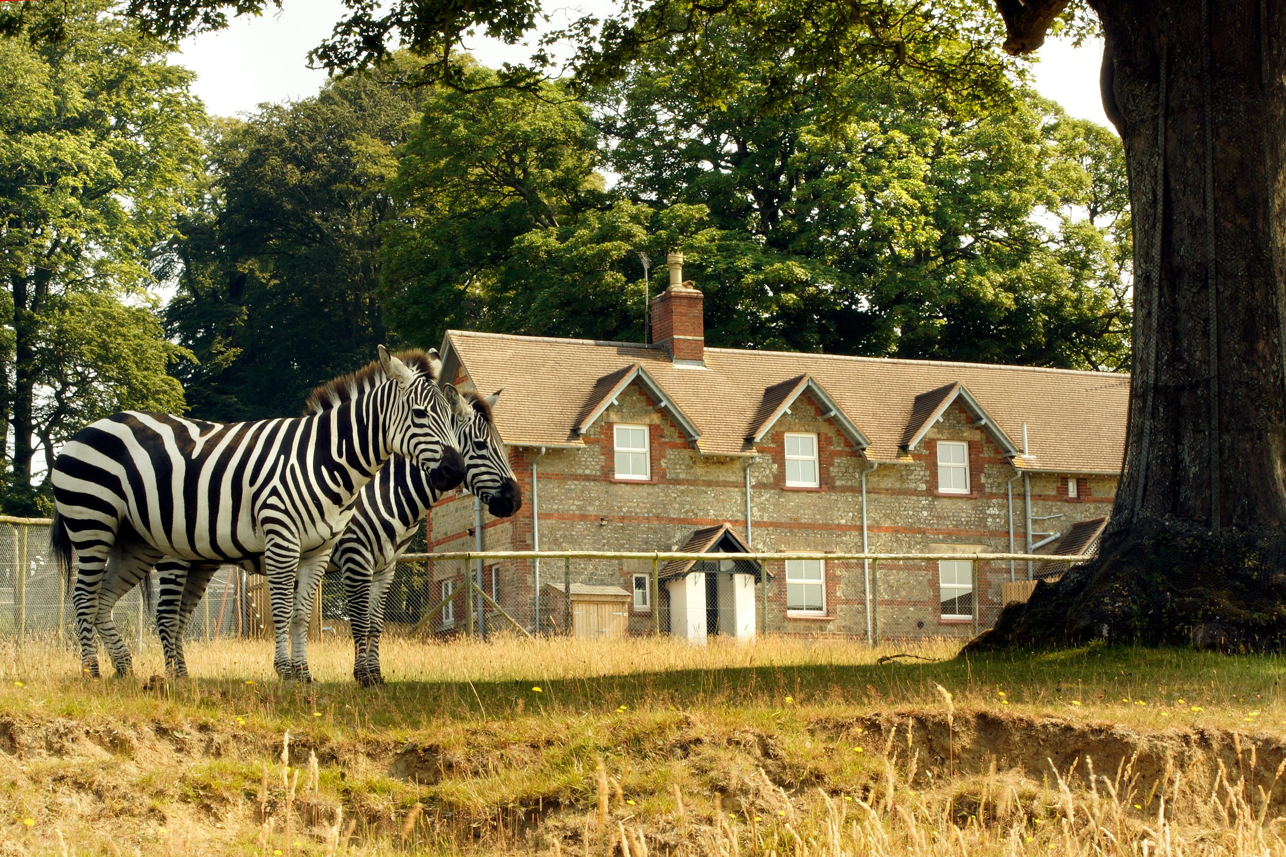 Longleat Keeper's House - Image 1