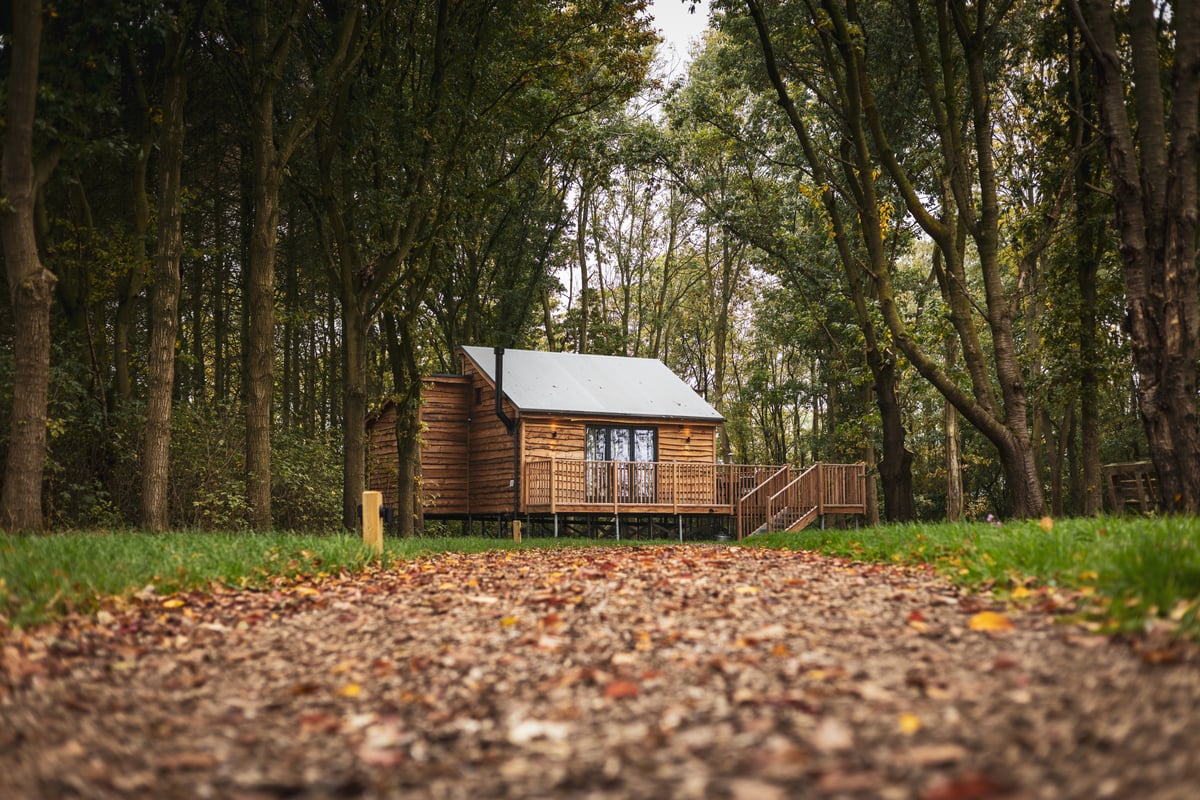 BarnTrees Cabins