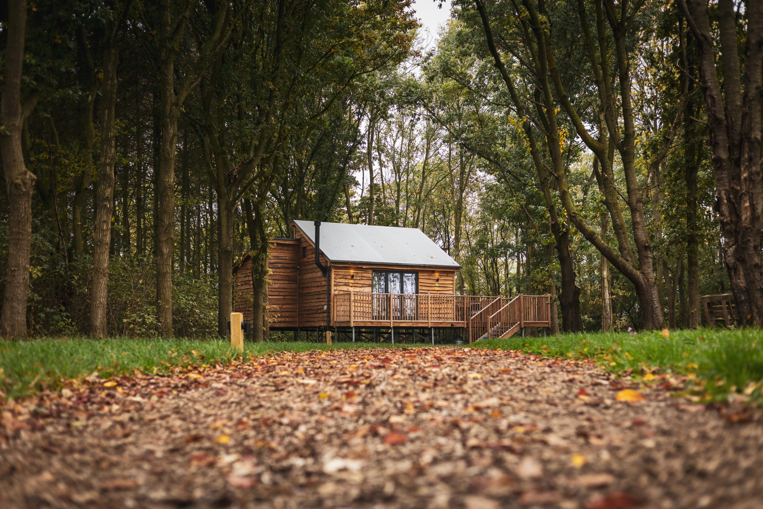 BarnTrees Cabins - Image 1