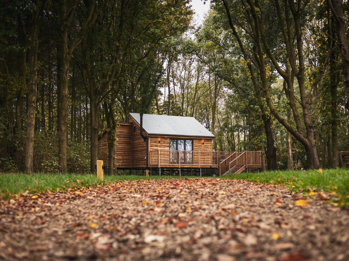 BarnTrees Cabins