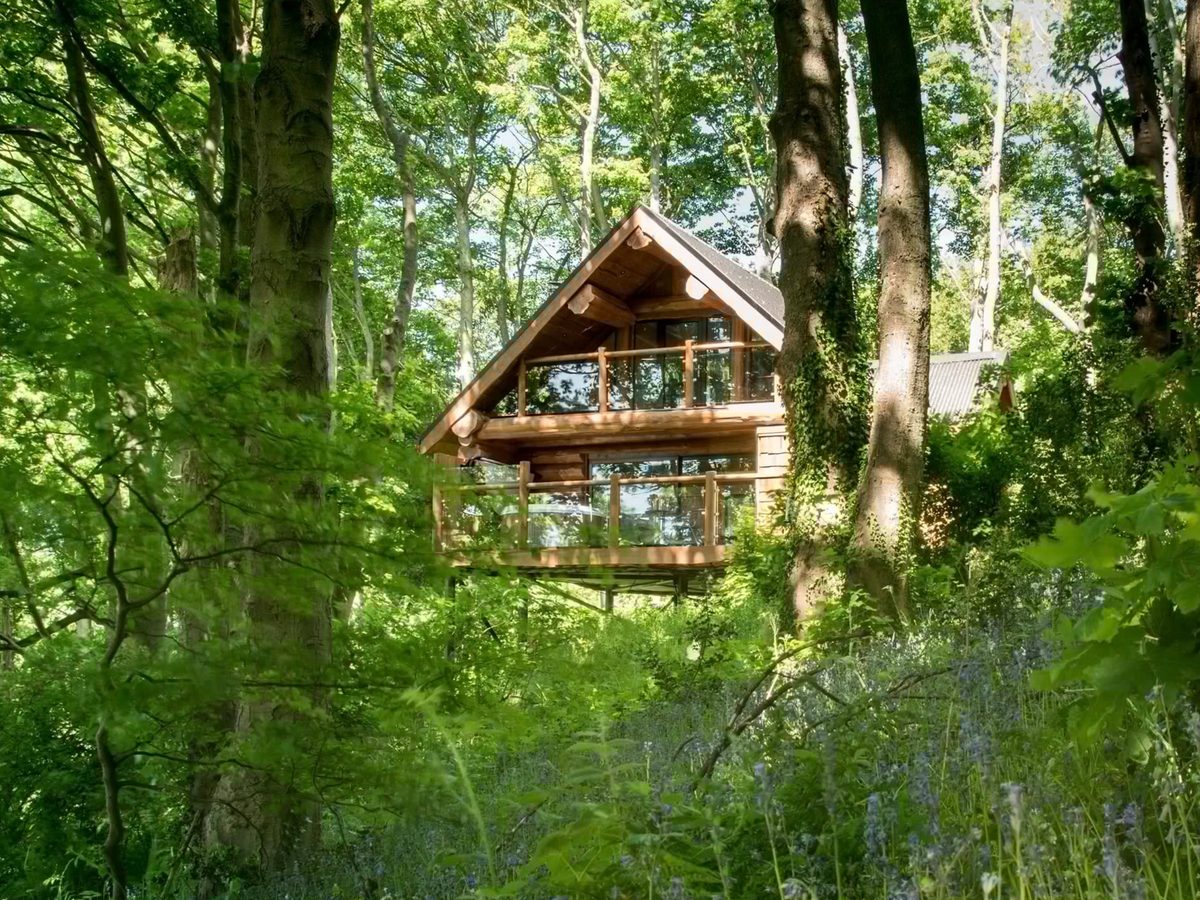 Swinney Log Cabins