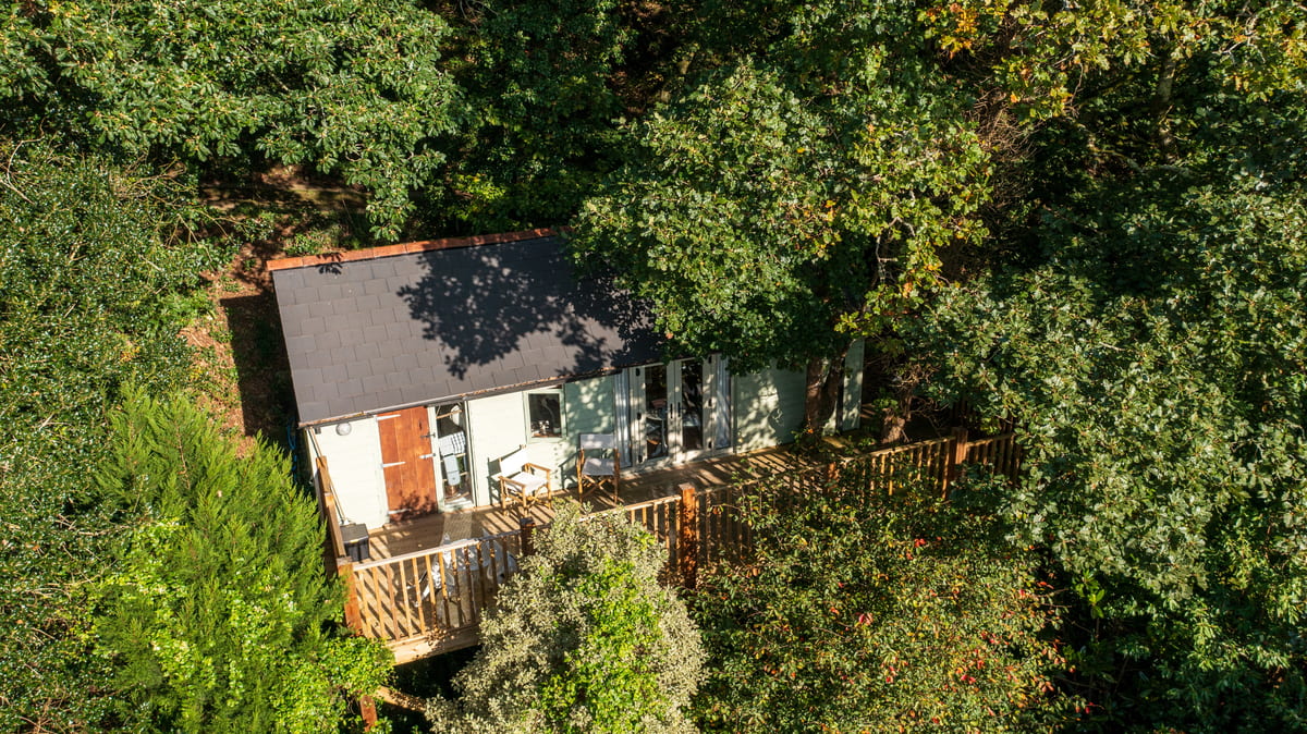 Wrinklers Wood Luxury Treetop Cabin - Image 1