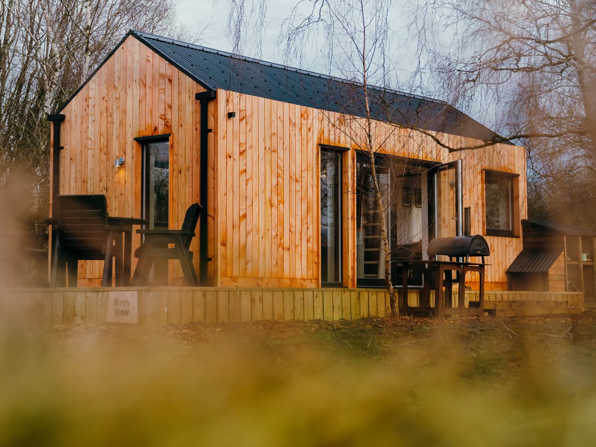 Birch View Cabin