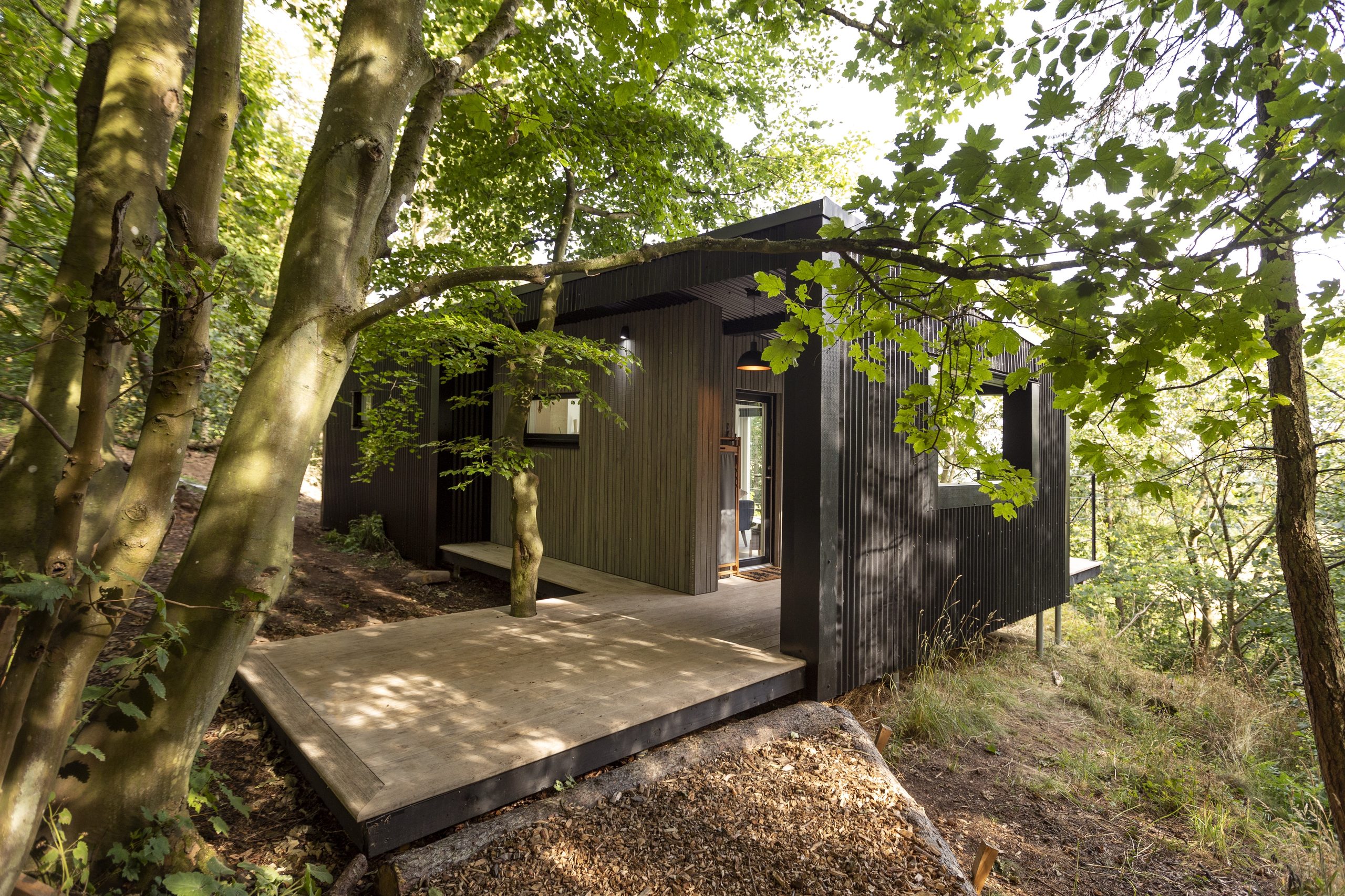 Bracken Treehouse - Image 1