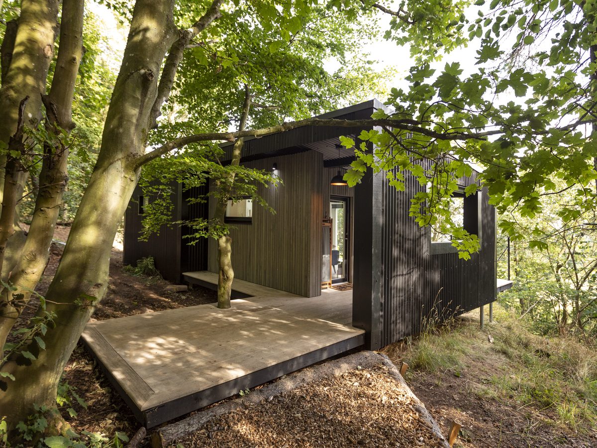 Bracken Treehouse