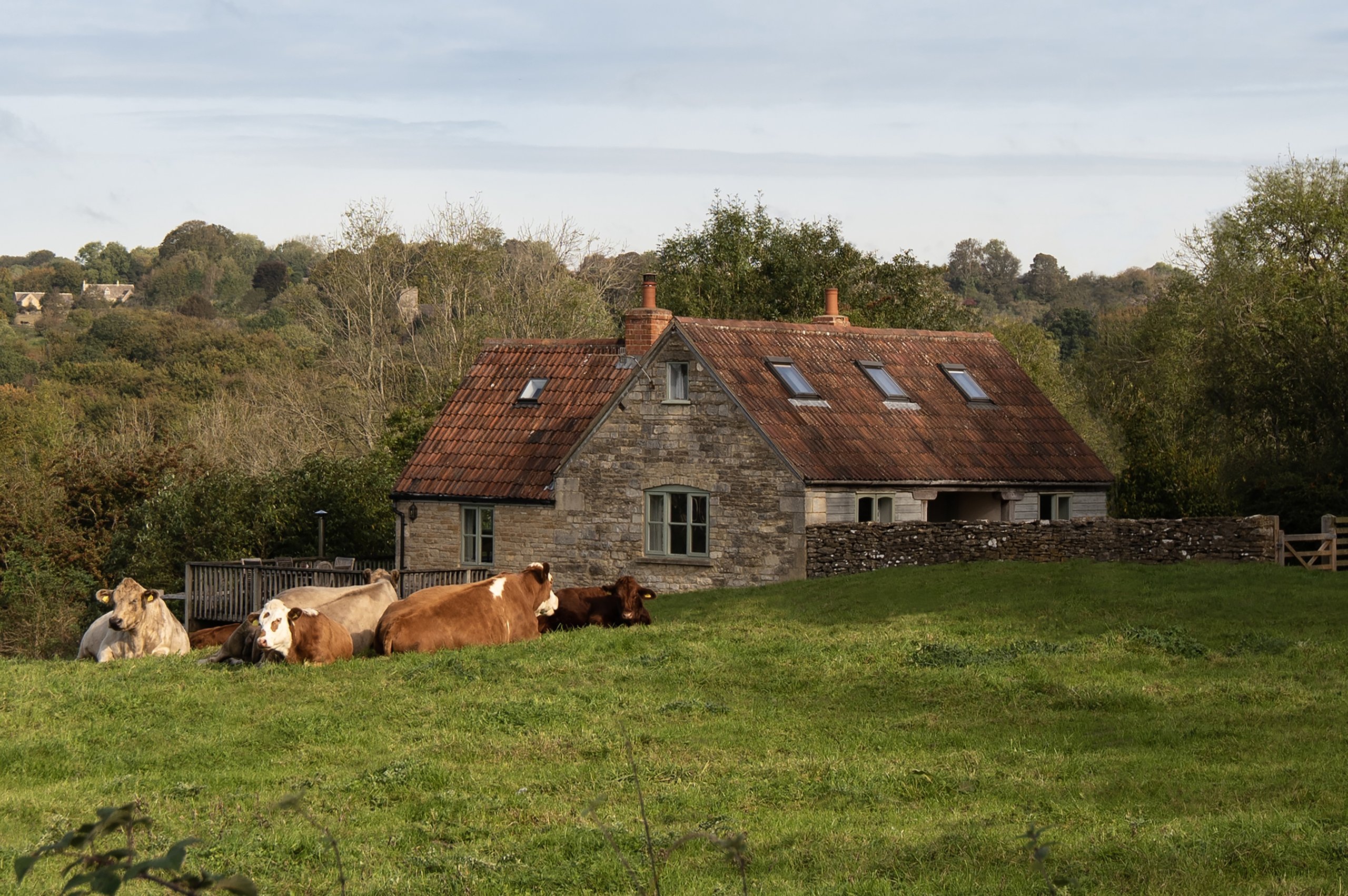 Hornstone Cottage