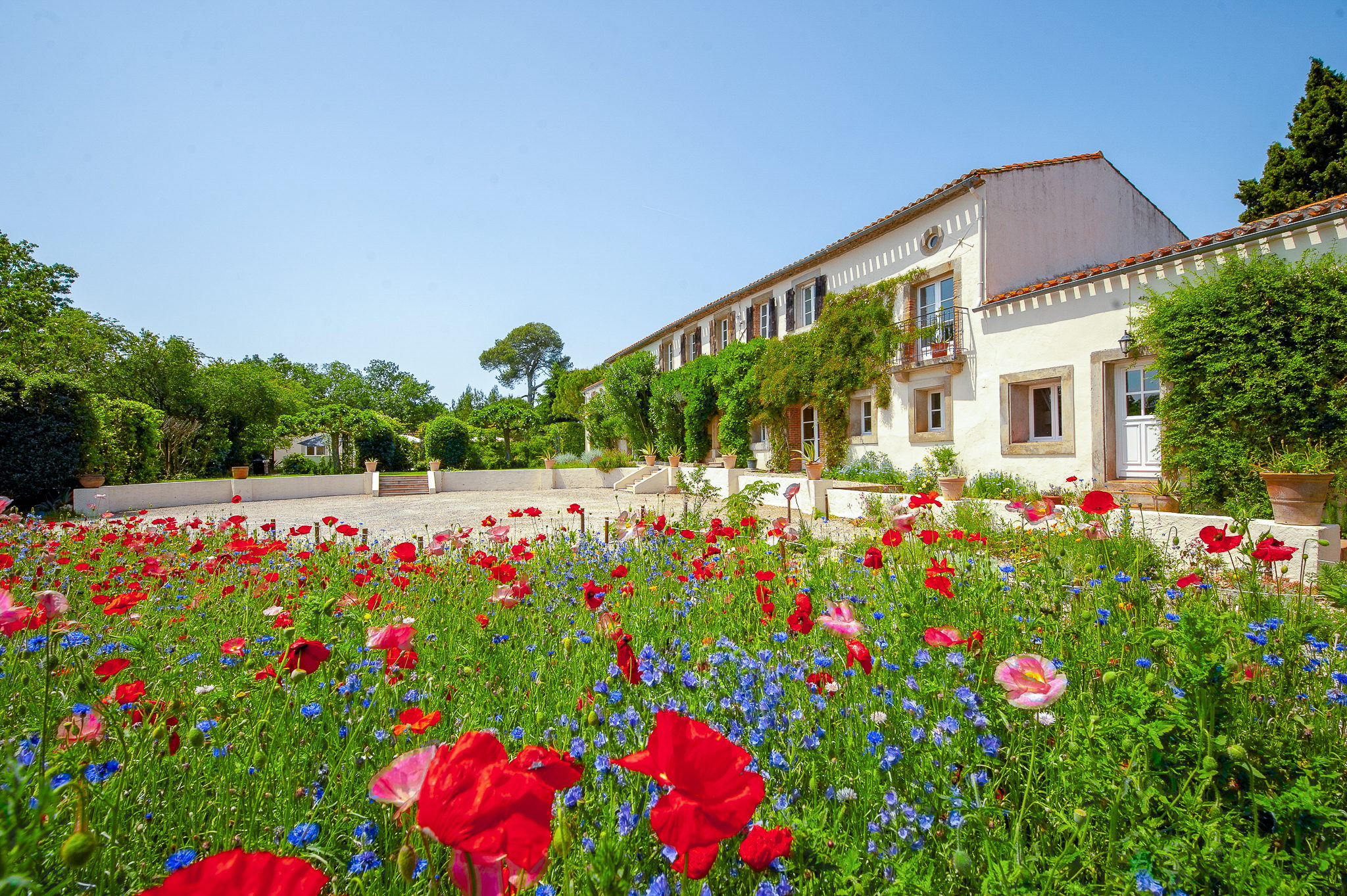 Domaine de Cascaret