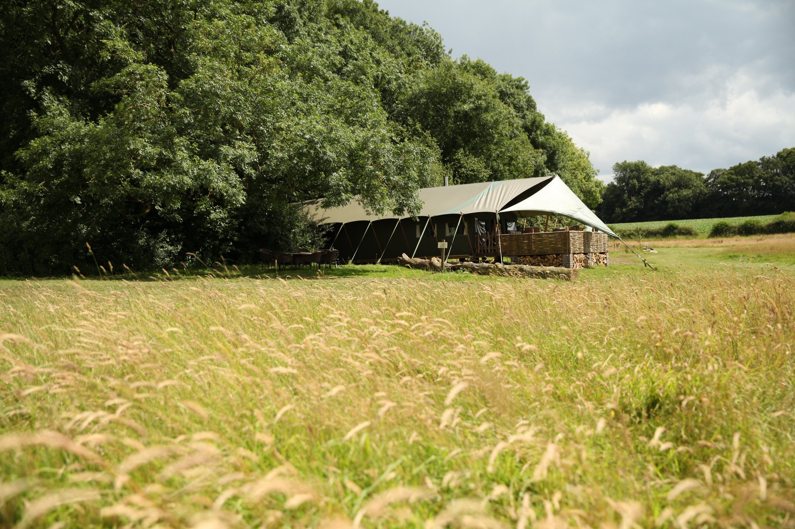The Dandelion Hideaway